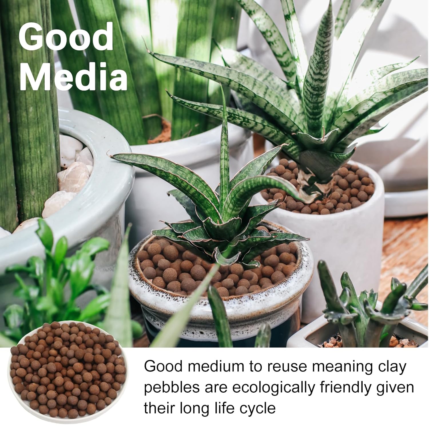 FANTIAN FT-Y1-B0CX1DN1JG Garden-Soil-Soil-Amendments - View #2