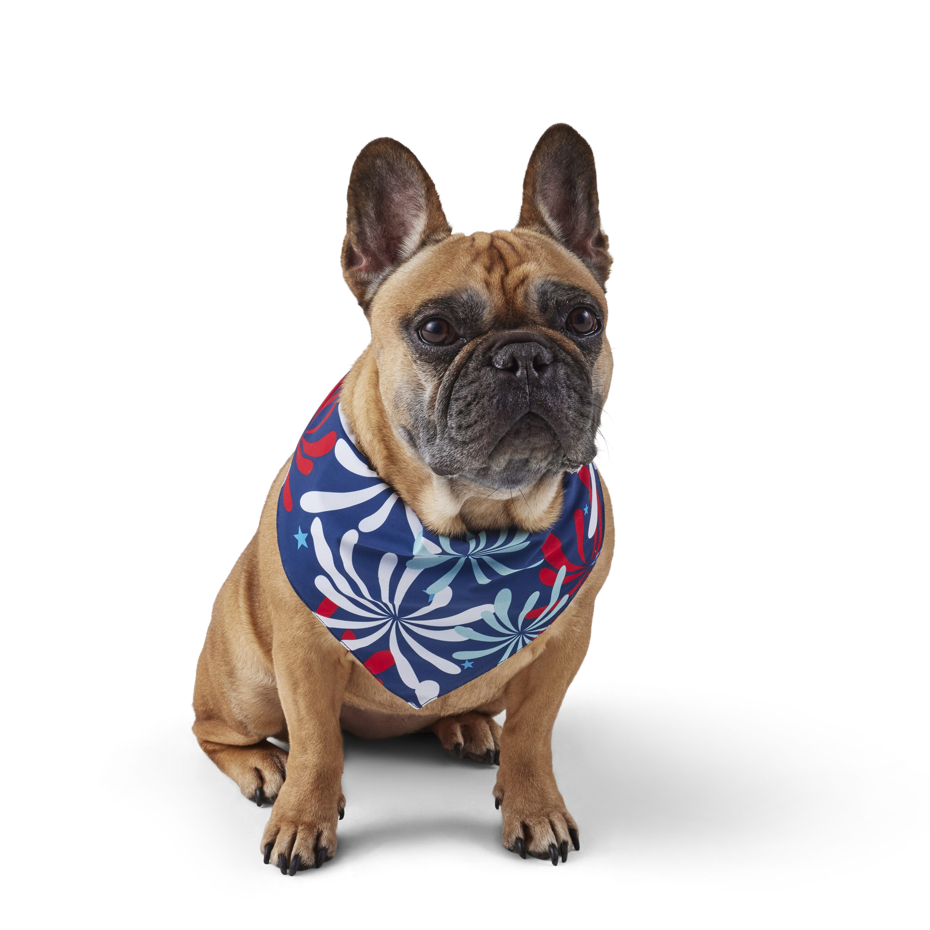 Heart & Herd YB26102 Dog-Clothing-Acc - View #8