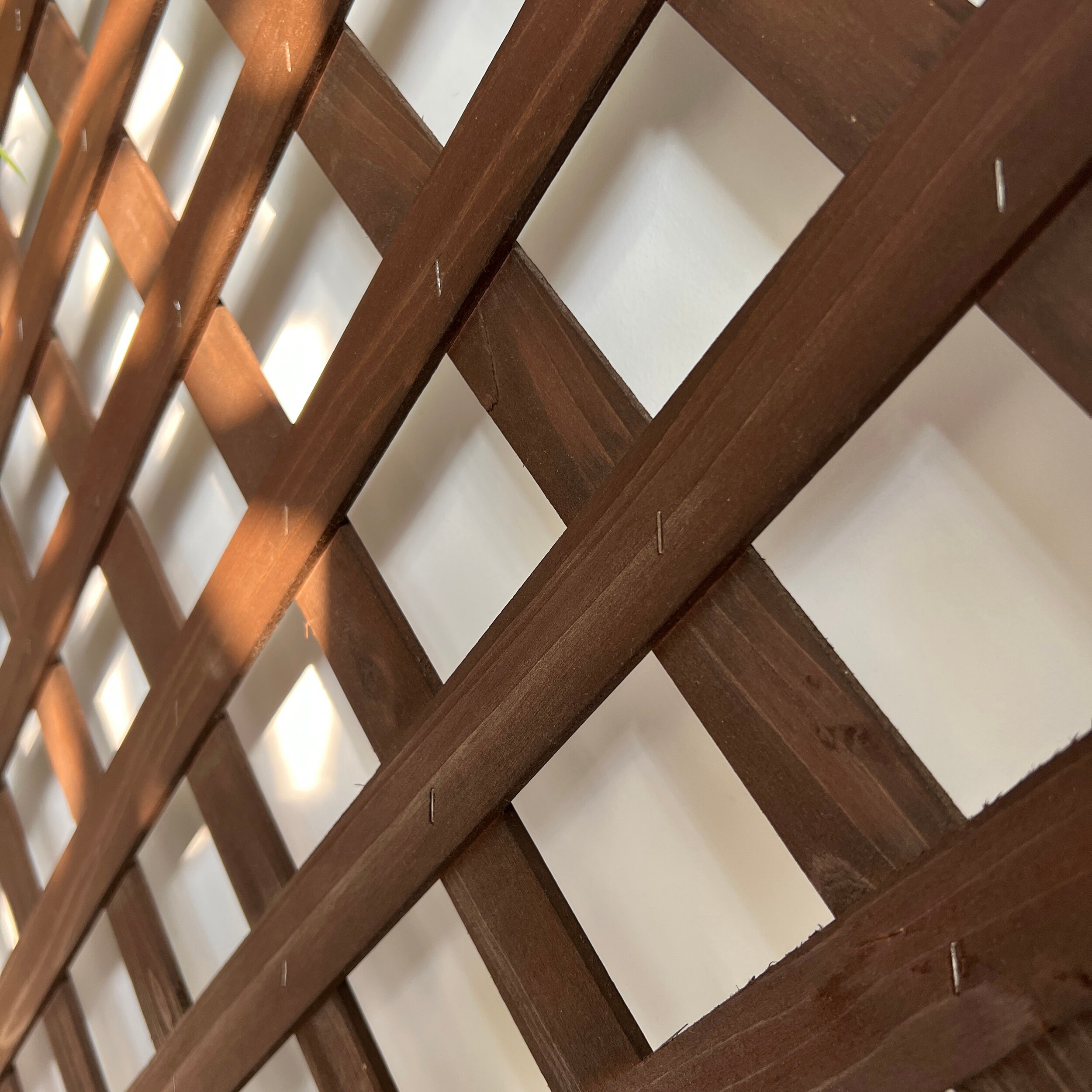 Style Selections TAODF286A Garden-Trellis - View #8