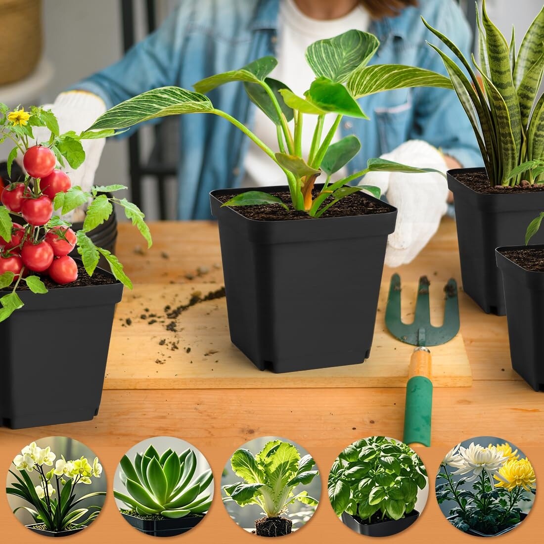 Justincity LJT0520J030 Planter-Window-Box - View #6