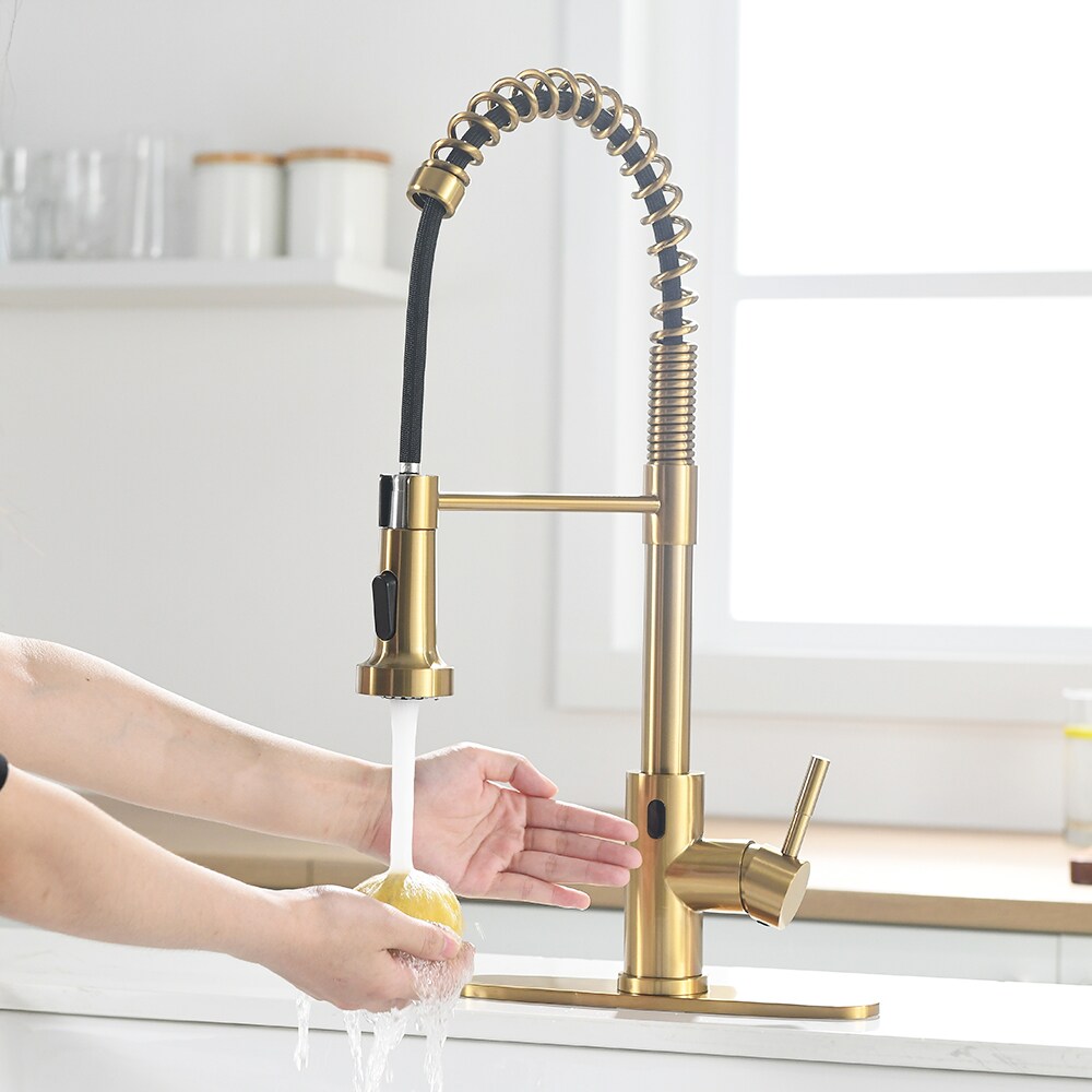Fapully FA-B-1008NG-D-IS Kitchen-Faucets - View #2