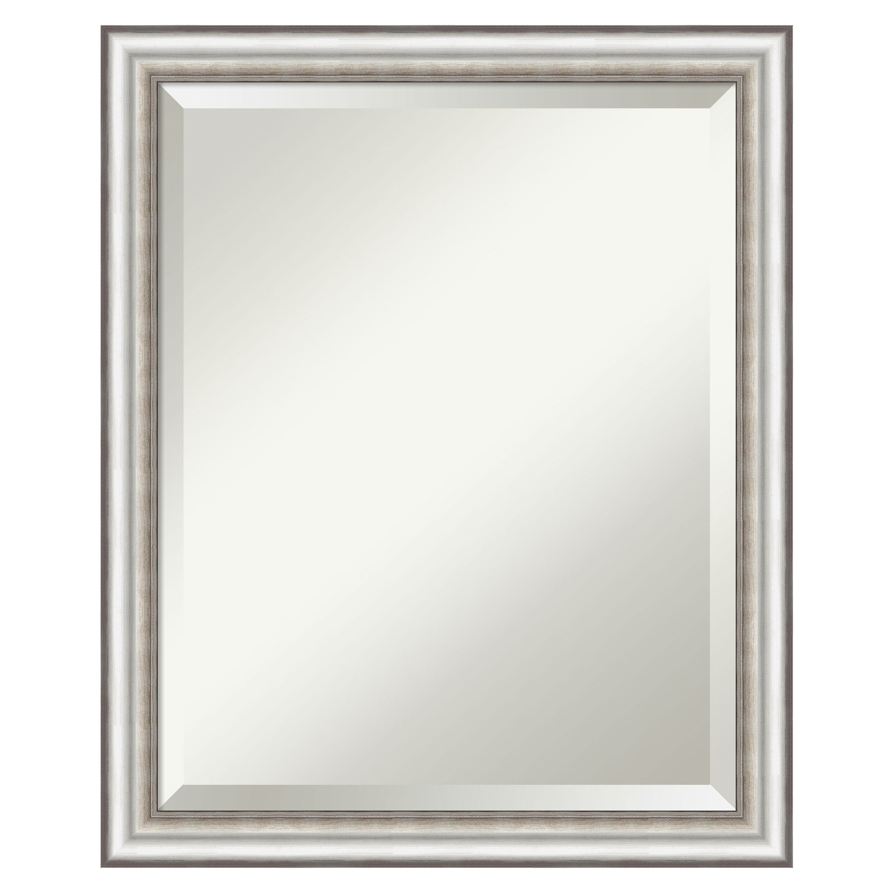 Amanti Art A17007155725 Salon Silver Narrow Frame 18.5-in W x 22.5-in H Rectangle Silver Framed Wall Mirror