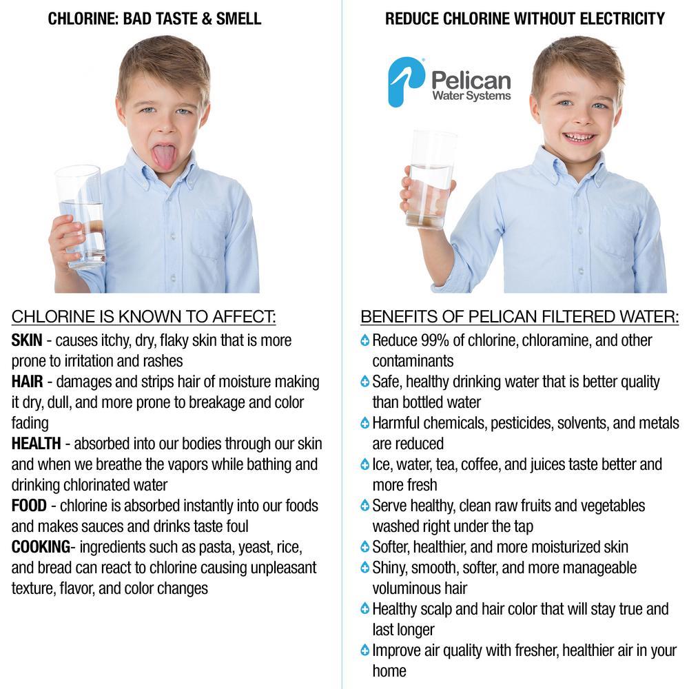 Pelican Water RO Unit Carbon Block Reverse Osmosis Filtration System at