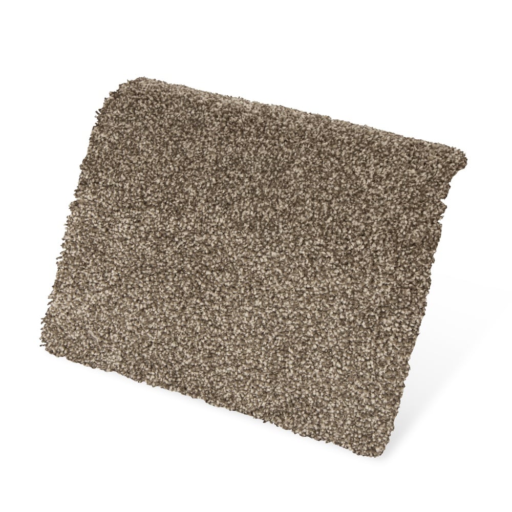 STAINMASTER SS020-L005-0808 Carpet-Samples - View #4