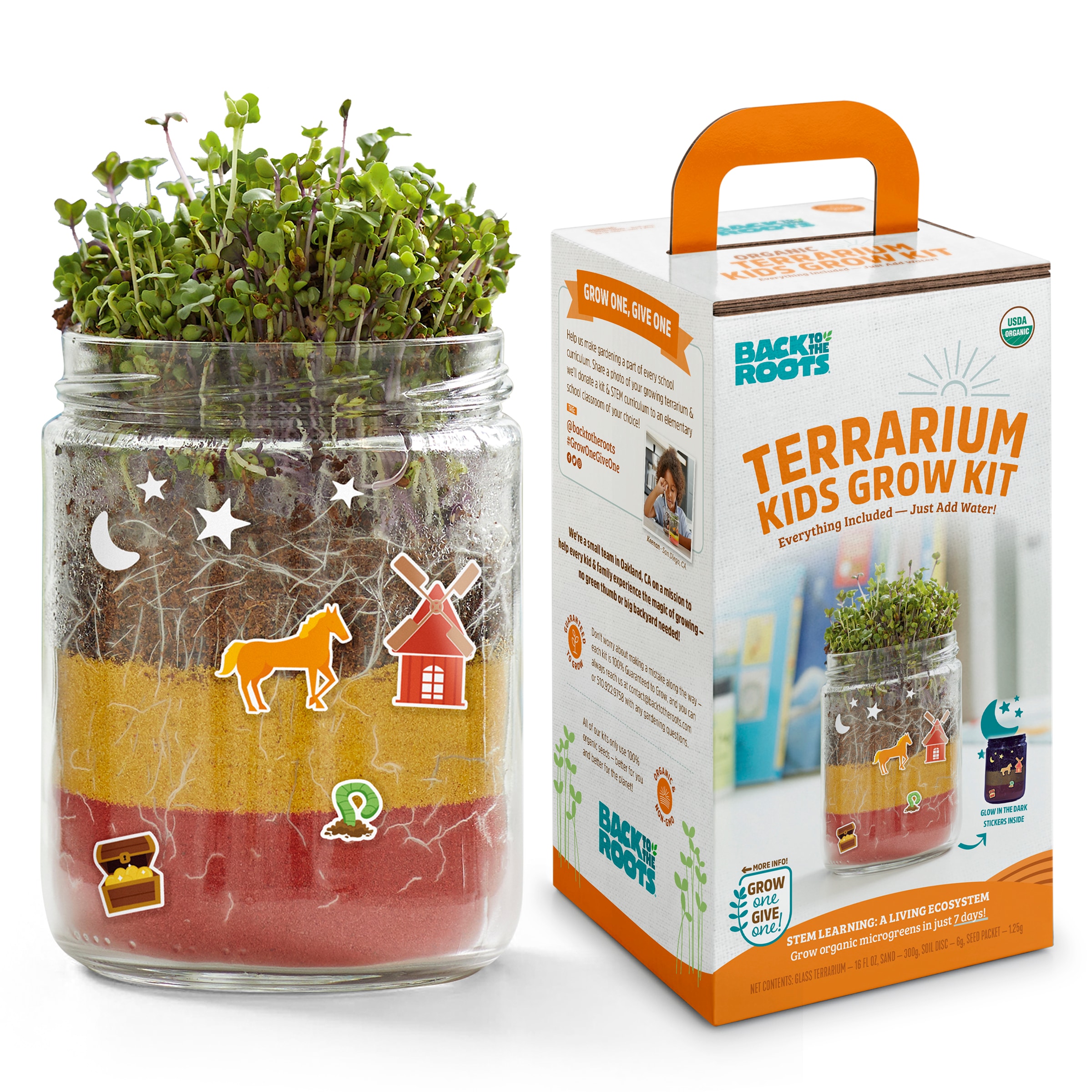 Back to the Roots 45003 Kitchen herb Gardening Kit