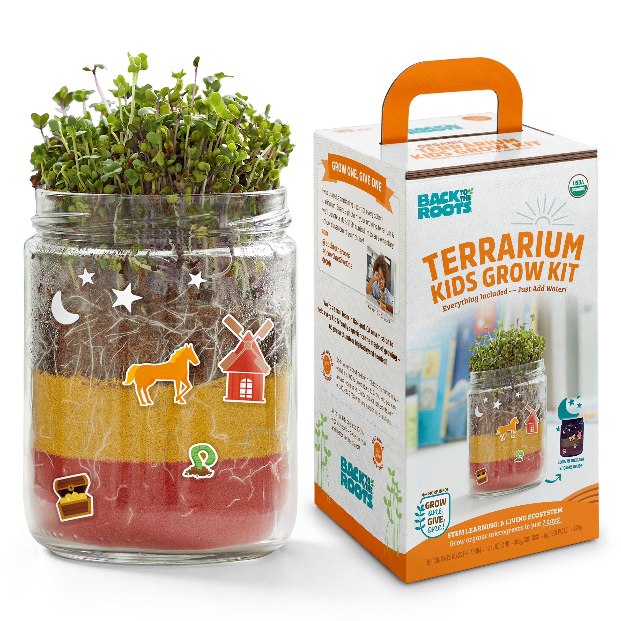 Back to the Roots Kitchen herb Gardening Kit