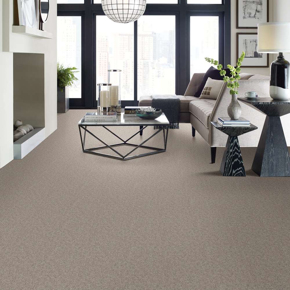 STAINMASTER 7L79100523 Carpet-Panel - View #3