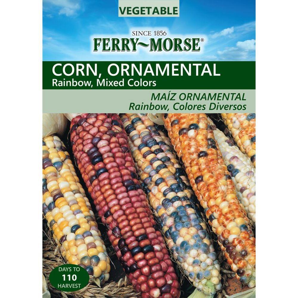 Ferry-Morse 473749.178.461548 10-Gram Ornamental Corn Rainbow Mixed Colors (L0000)