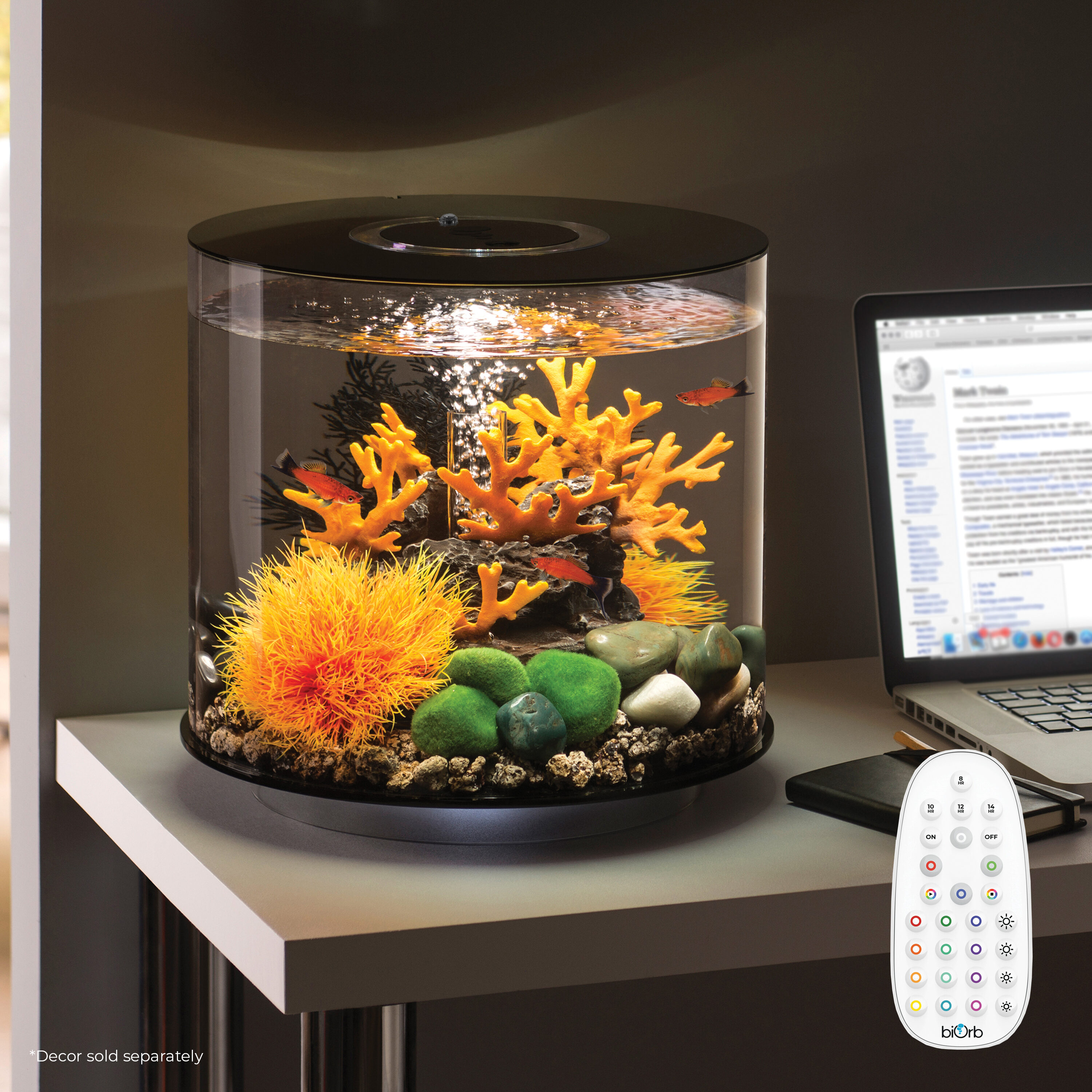 biOrb 72064 Terrariums-Habitats - View #2