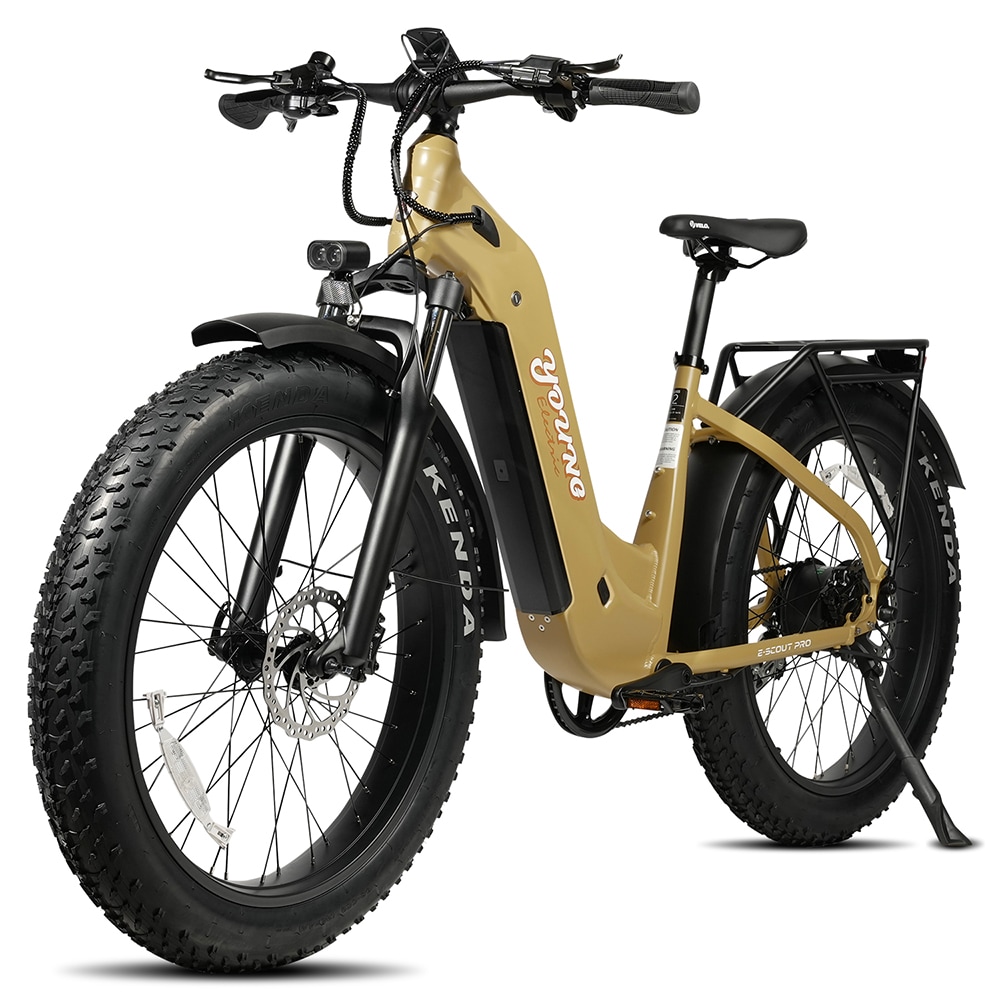 Bikes Brand Young Electric