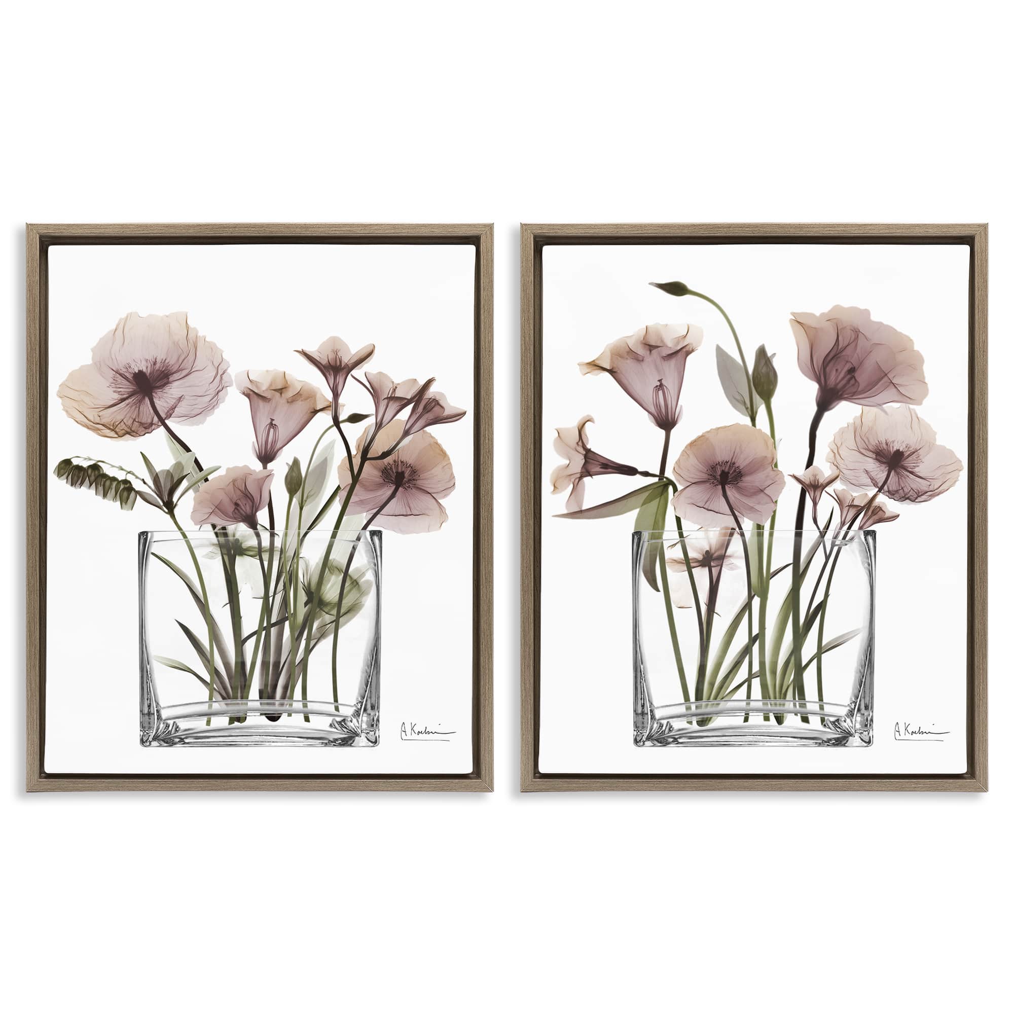 Stupell Industries B2-703-FFE-2PC-24X30 Earthy Infatuation Bouquet 2 Piece Brown Framed Floater Canvas Set By Albert Koetsier 31 x 25