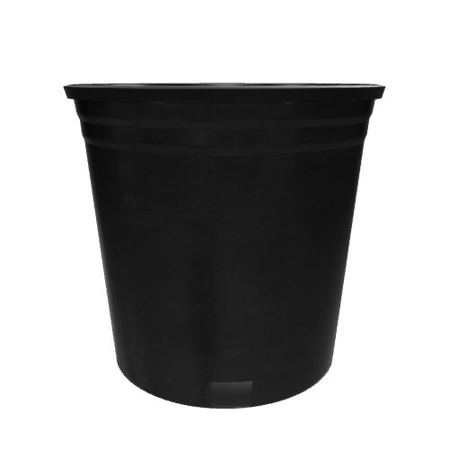 Three-dimensional representation of the product