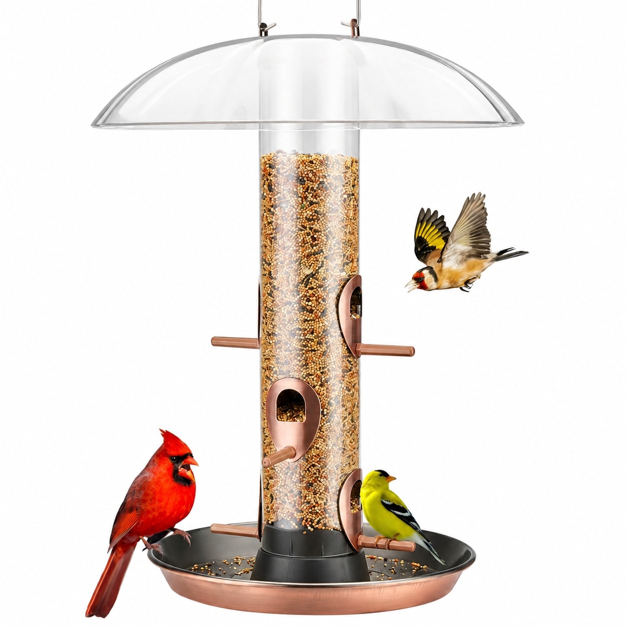 KHKFY  Metal Bird Feeder for Outdoors Hanging Large 115 Inch Dome Weather Guard Removable 8 Inch Tray 3 lb Seed Capacity Green Easy Clean Durable