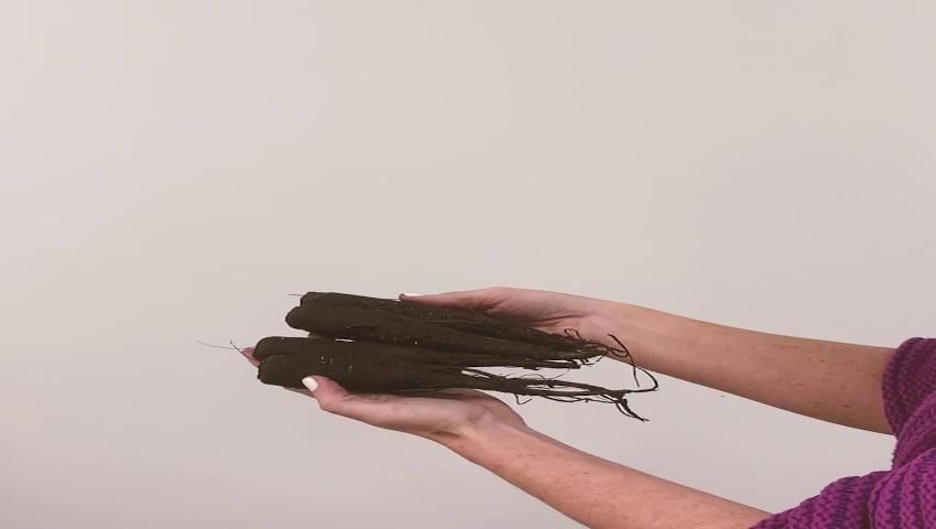 A thumbnail for the video