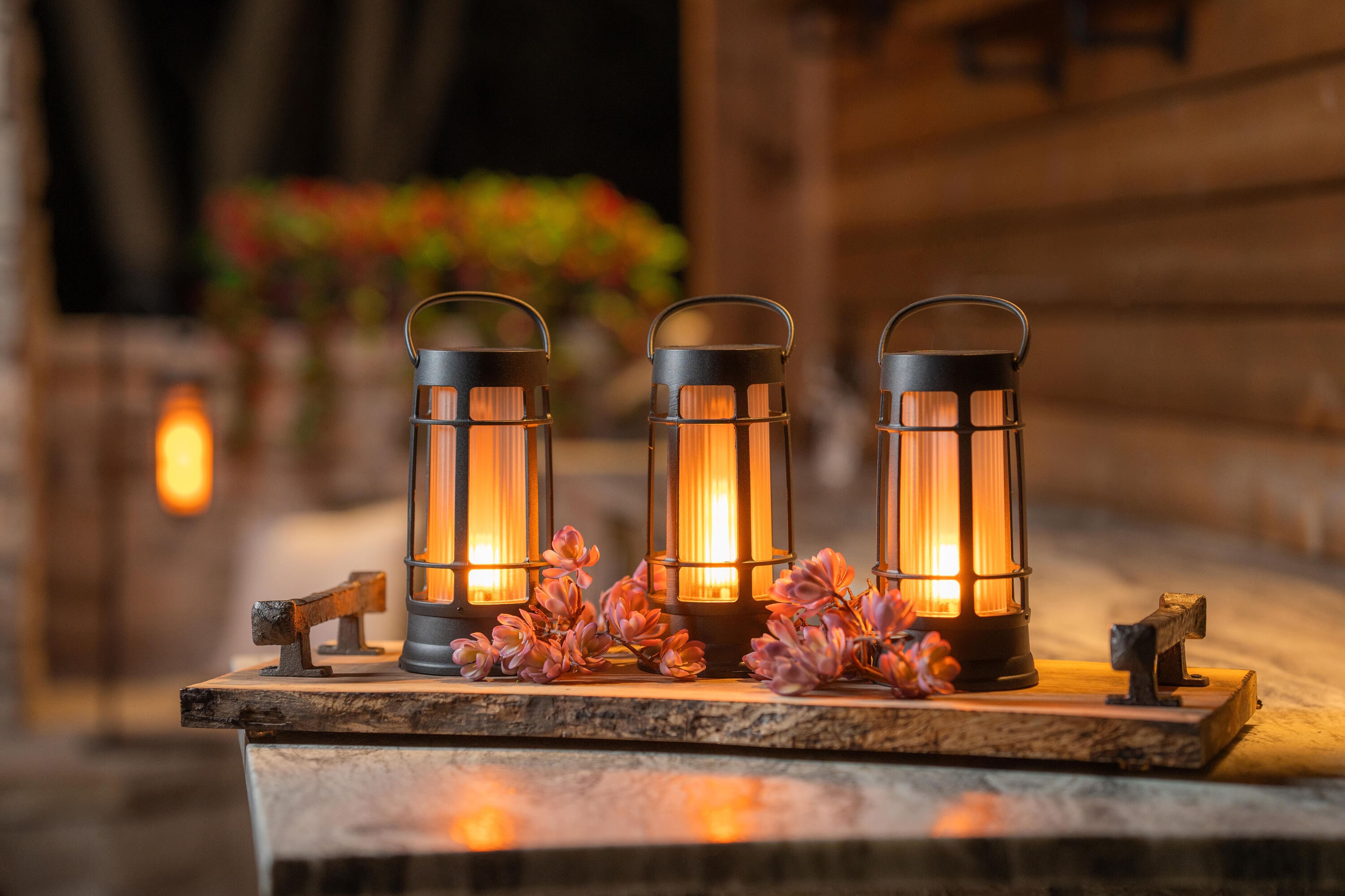 FoxFlame FFMDL1-1PK Landscape-Lighting-Stakes - View #9