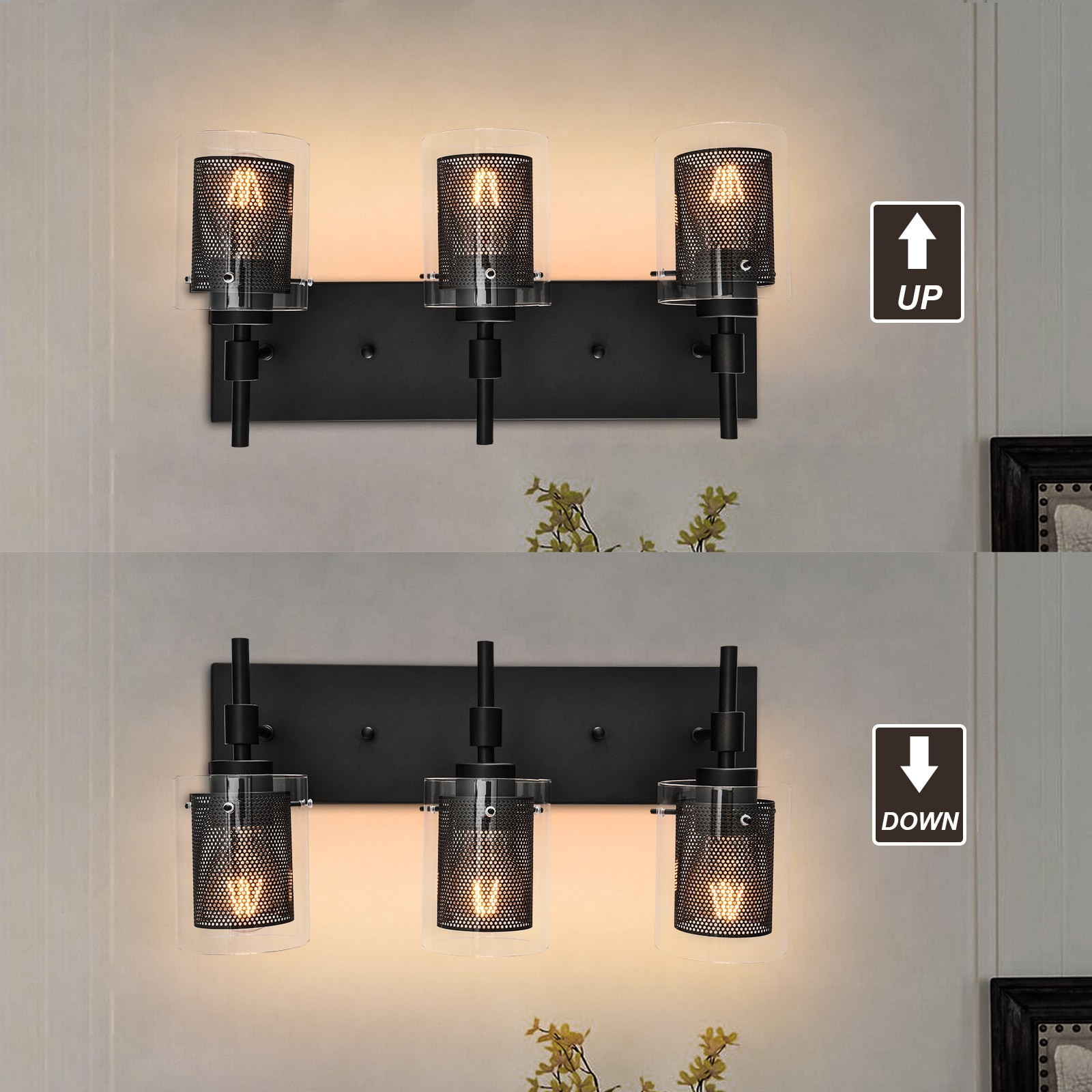 EDISLIVE Y81010000032848 b089995 - View #3