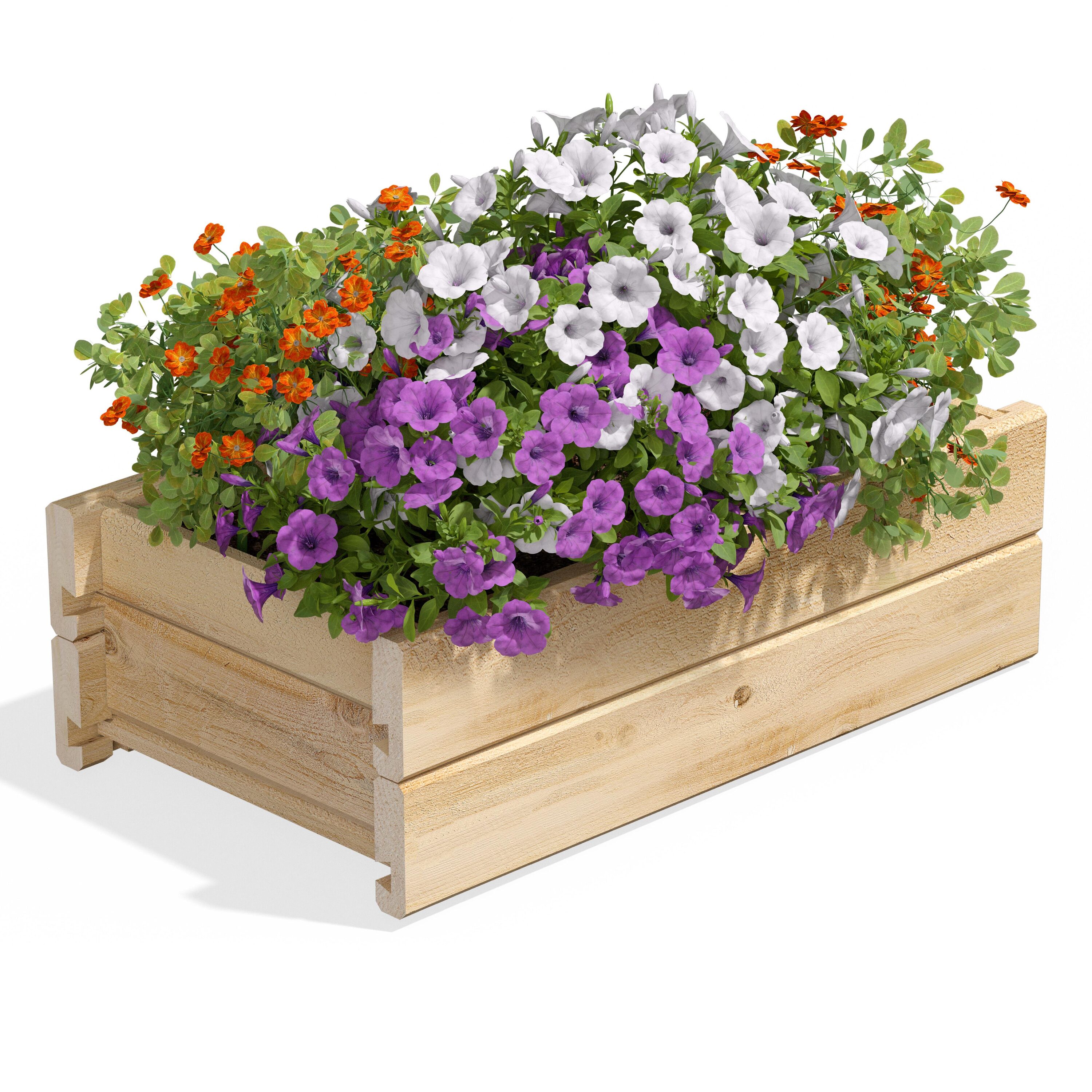 Greenes Fence RCPB1121H2WB Rectangle 21-Inches W Large Off-white Cedar Outdoor Wall planter with Drainage Holes