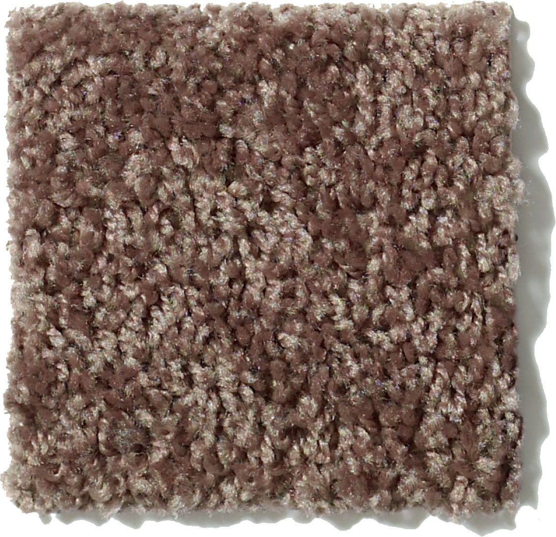 Style Selections 7L919 - 703 - SAMP Carpet-Samples - View #5