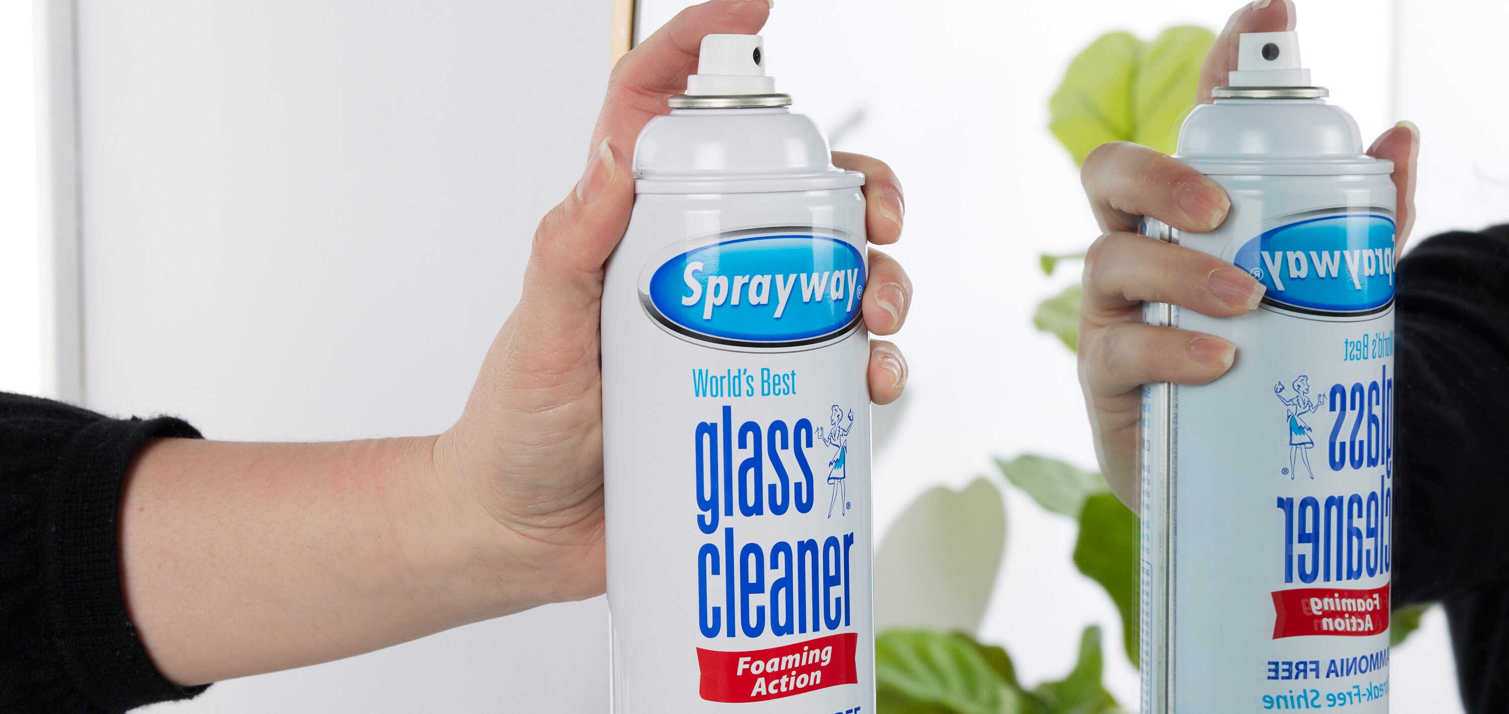 Sprayway 23-oz Aerosol Spray Glass Cleaner in the Glass Cleaners department  at