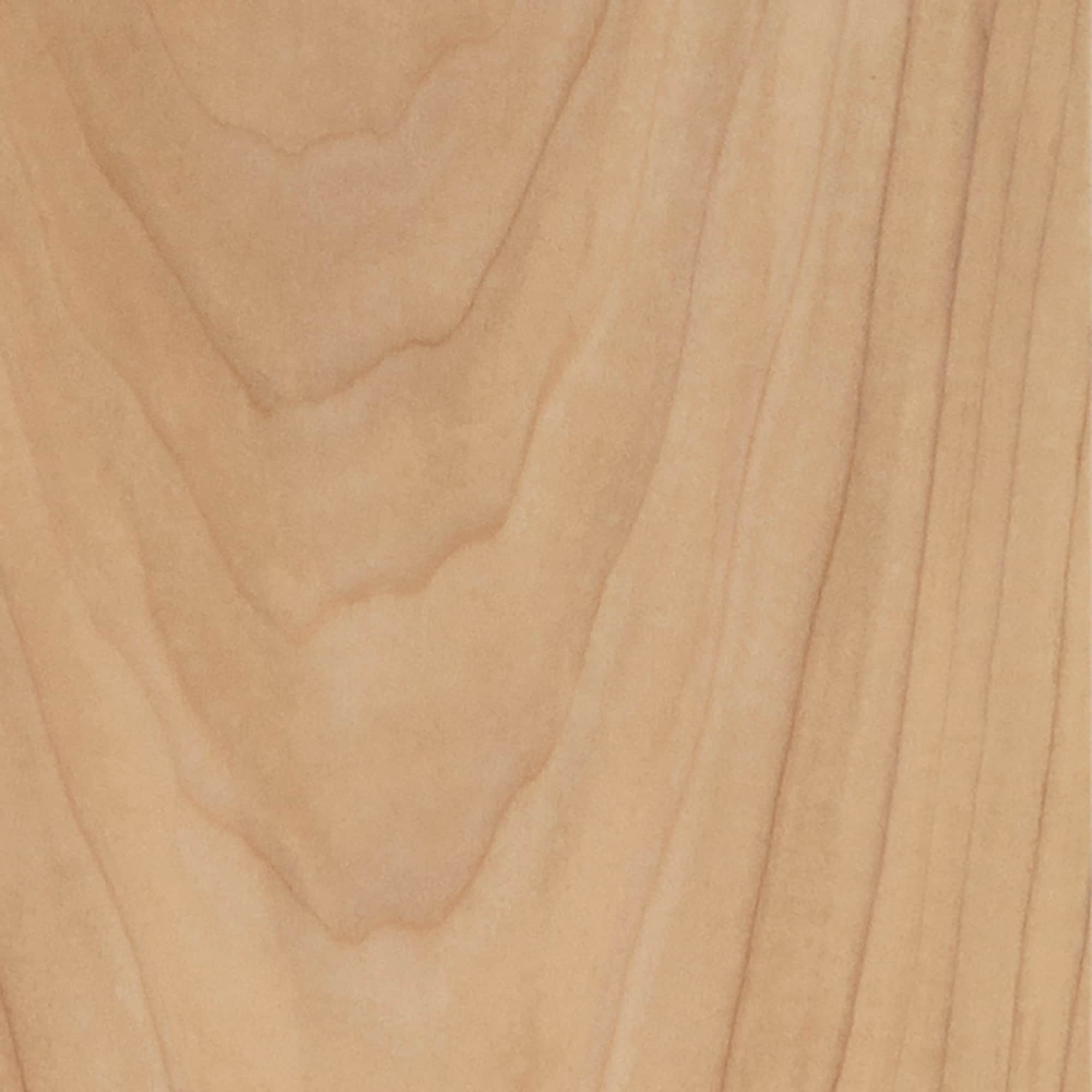 Ornamental Mouldings EV3011PKWHW appliques - View #3