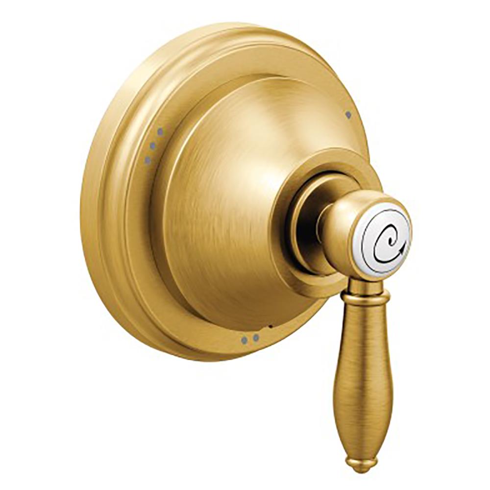 Moen Brushed Gold Lever Shower Handle At Lowes Com   10323604 