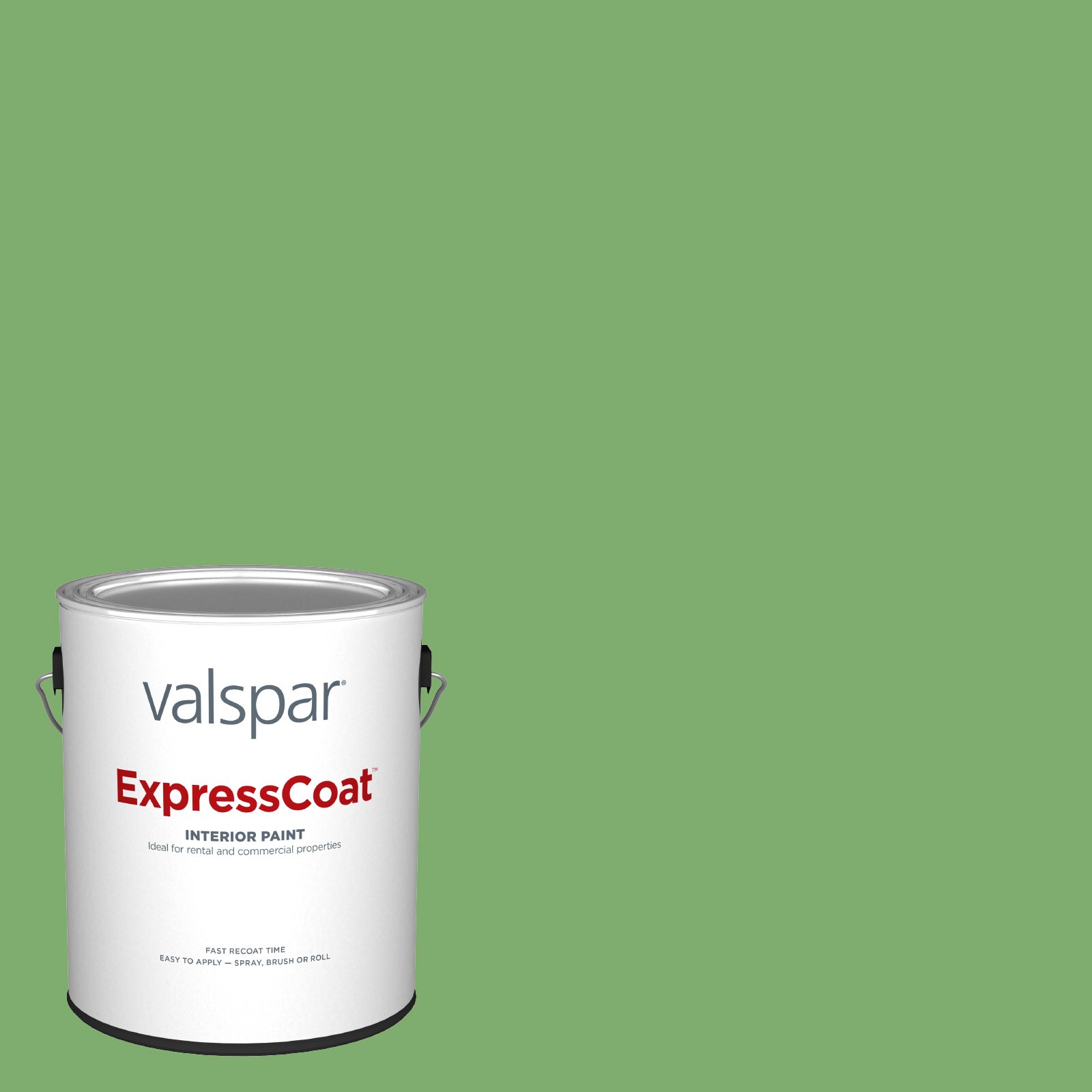 Valspar HGSW1263-935345 Pro ExpressCoat Semi-gloss Organic Green HGSW1263 Latex Interior Paint ( 1-gallon )