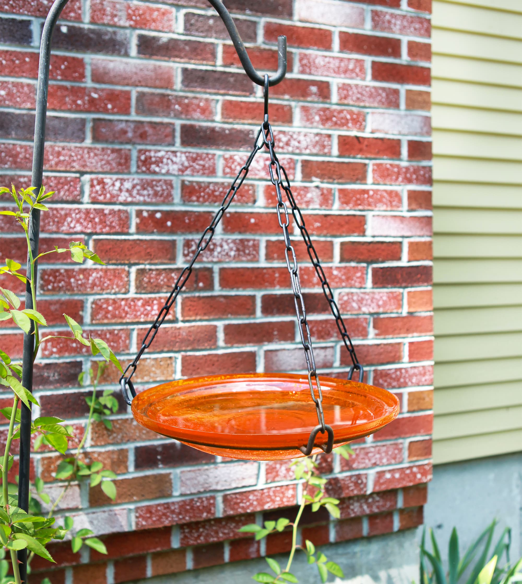 Minuteman International CGB-H-14M birdbaths - View #4