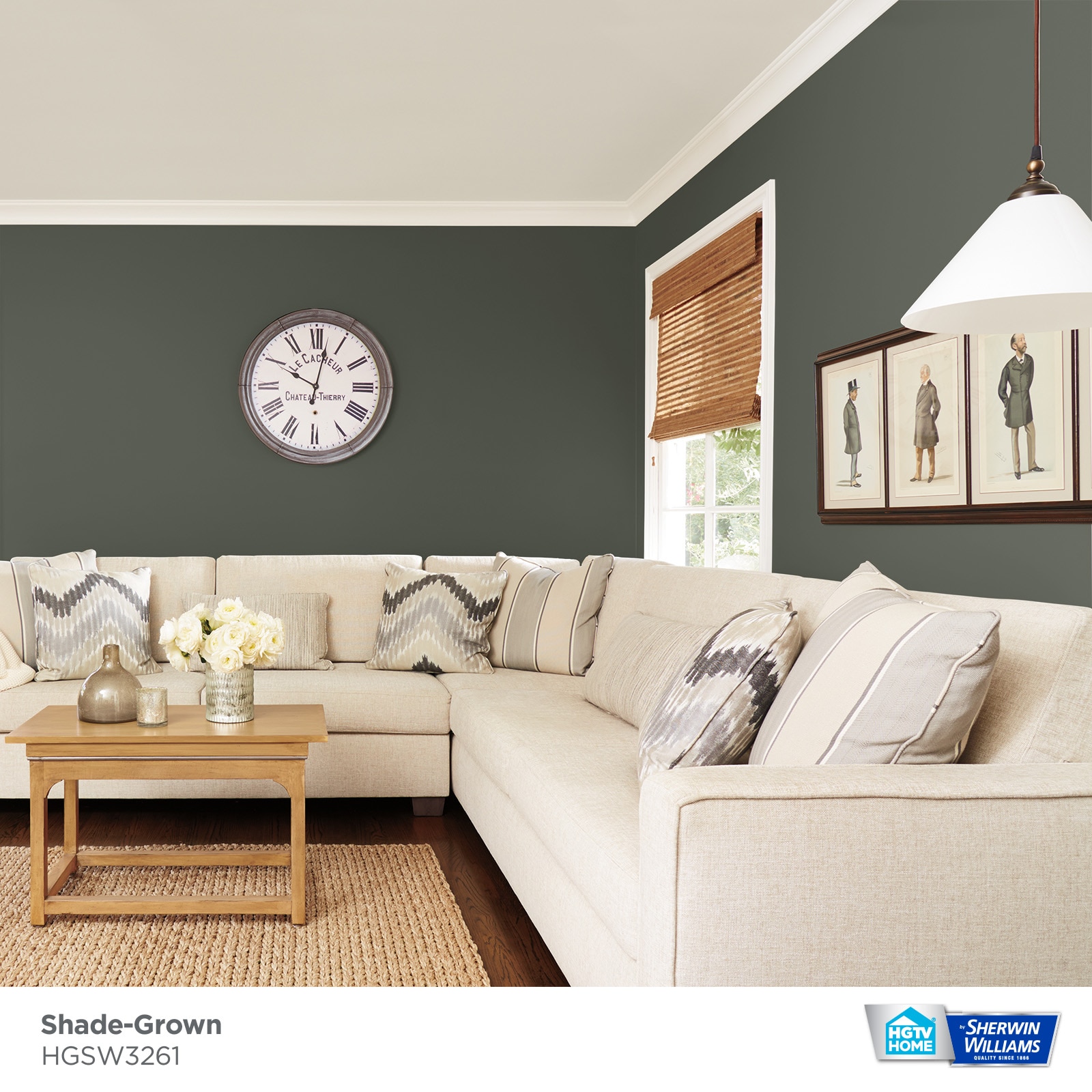 HGTV HOME by Sherwin-Williams HGSW3261 Paint-Samples - View #3