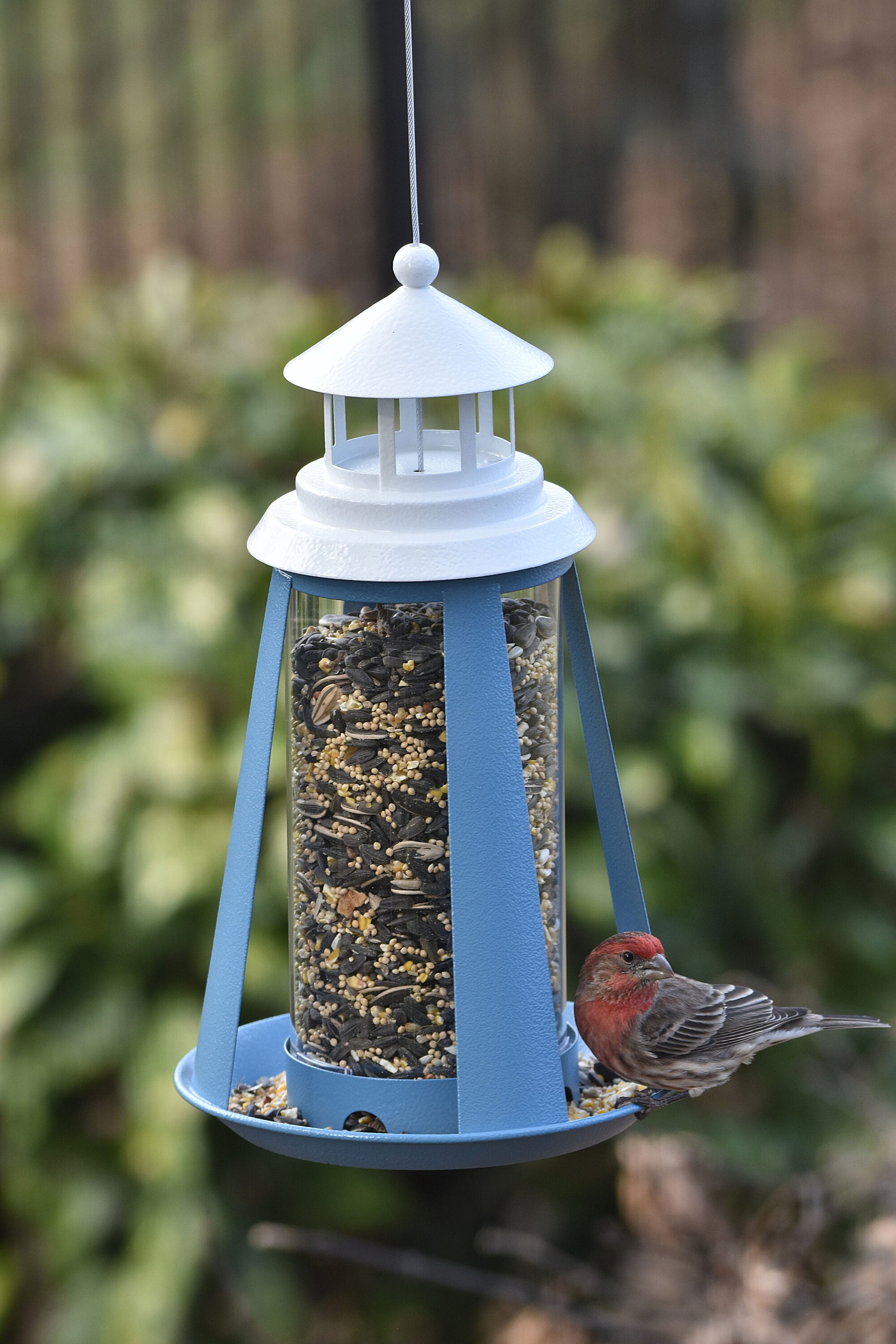 Style Selections 01-1204-30-13 Bird-Feeders - View #8