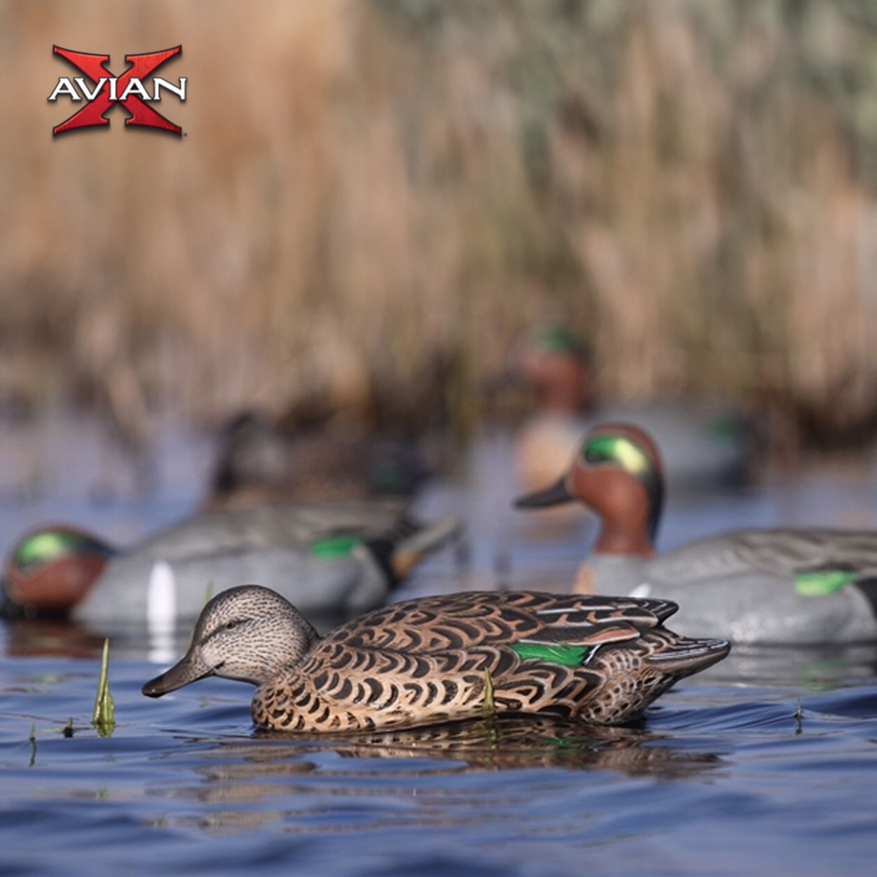  Avian X 408577 Hunting-Equipment - View #6