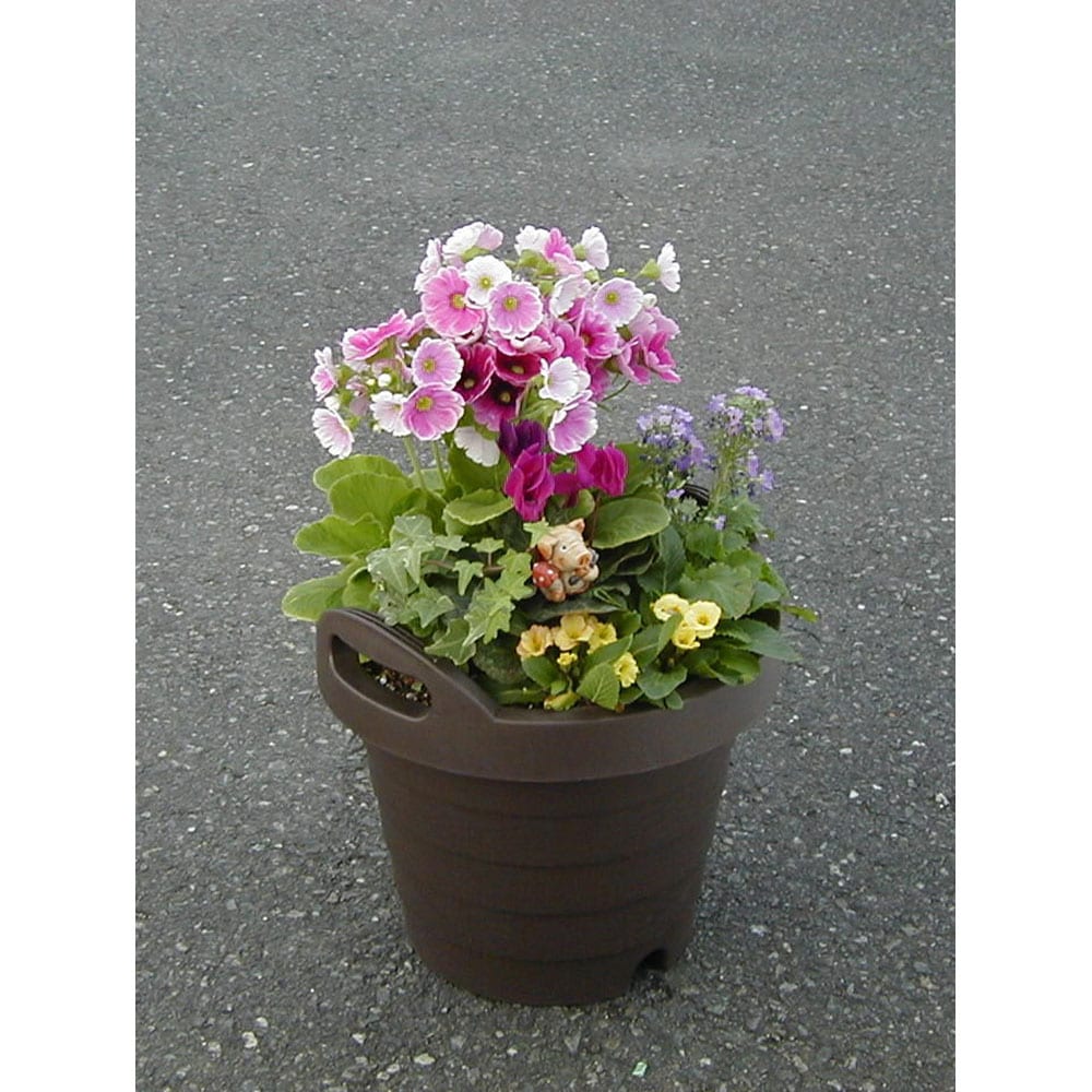 Astage 902571 Planter-Window-Box - View #4