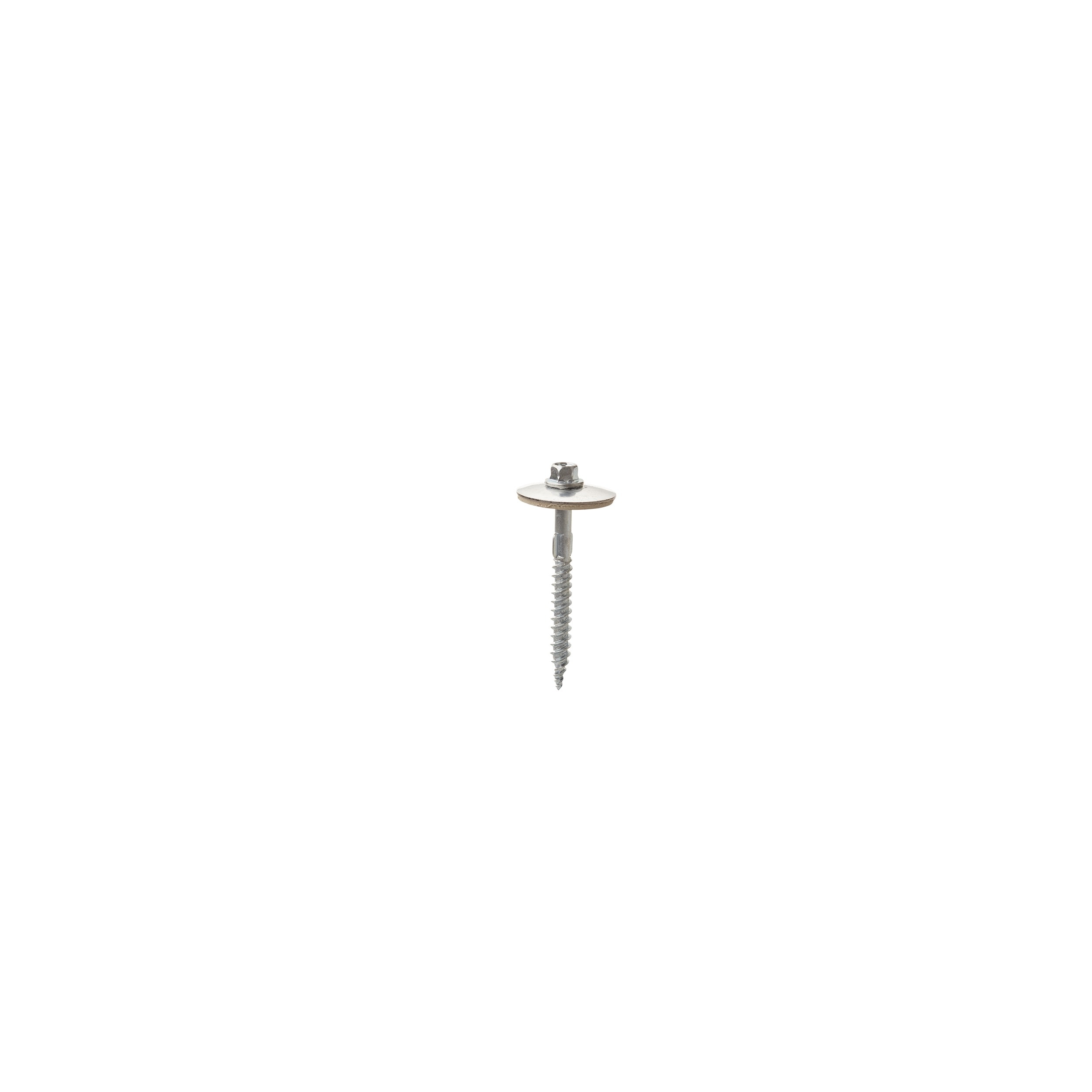 AmeriLux International 2815016L Wood-Screws - View #3