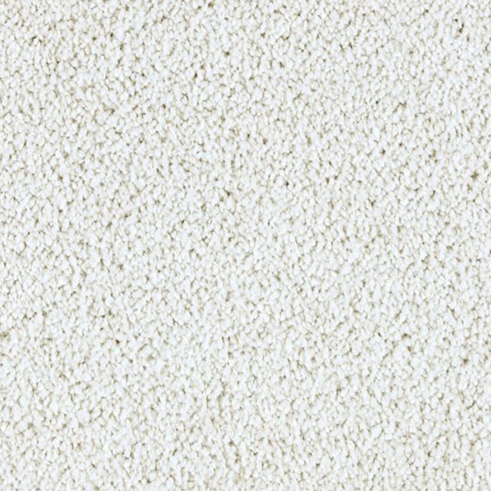 STAINMASTER PetProtect STP25-12-L003 Express Install Alluring splendor II Vintage Brown 58-oz sq yard Triexta Textured Indoor Carpet