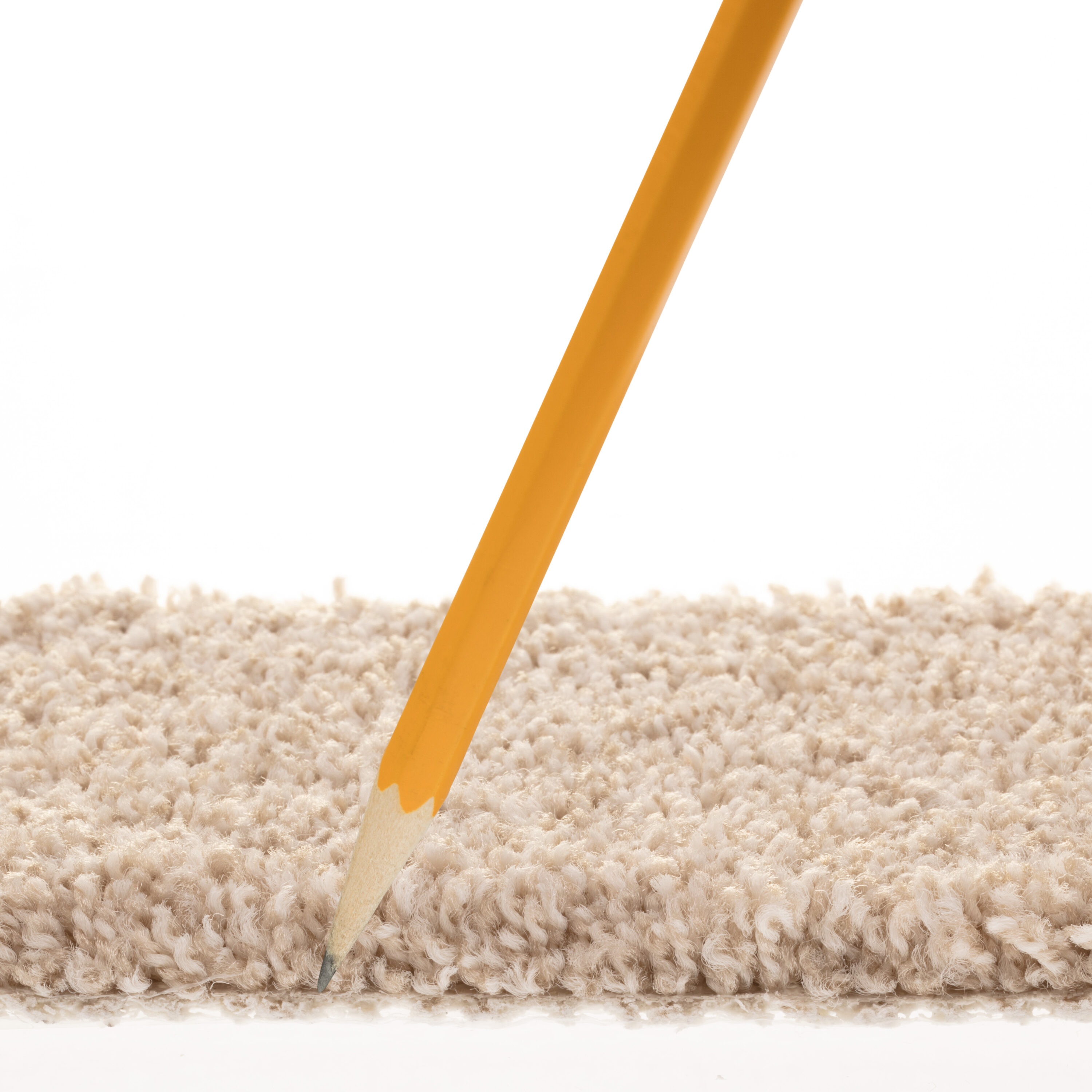 STAINMASTER PetProtect 7L906 - 743 - SAMP Carpet-Samples - View #7