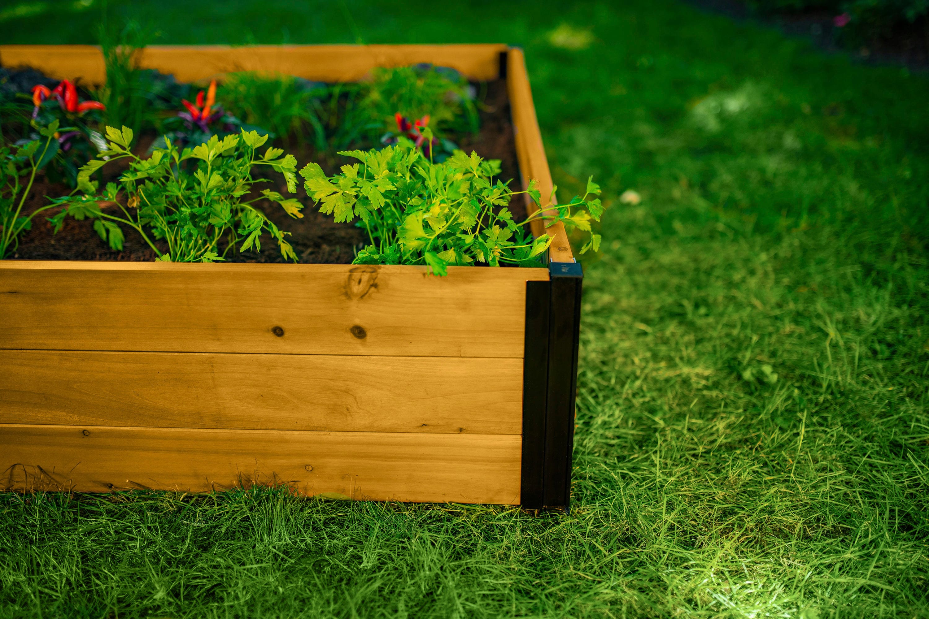 Vita VT17703 Raised-Garden-Beds - View #7