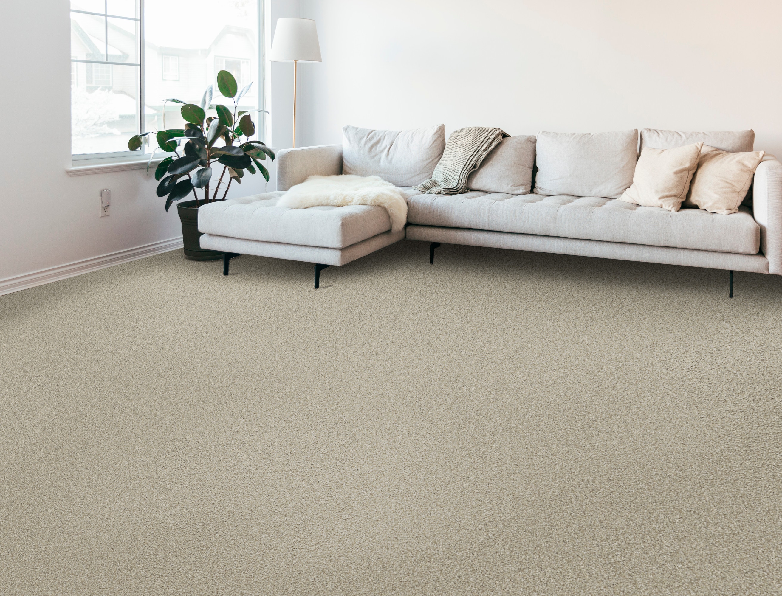 STAINMASTER PetProtect 7L929-137-SAMP Carpet-Samples - View #3