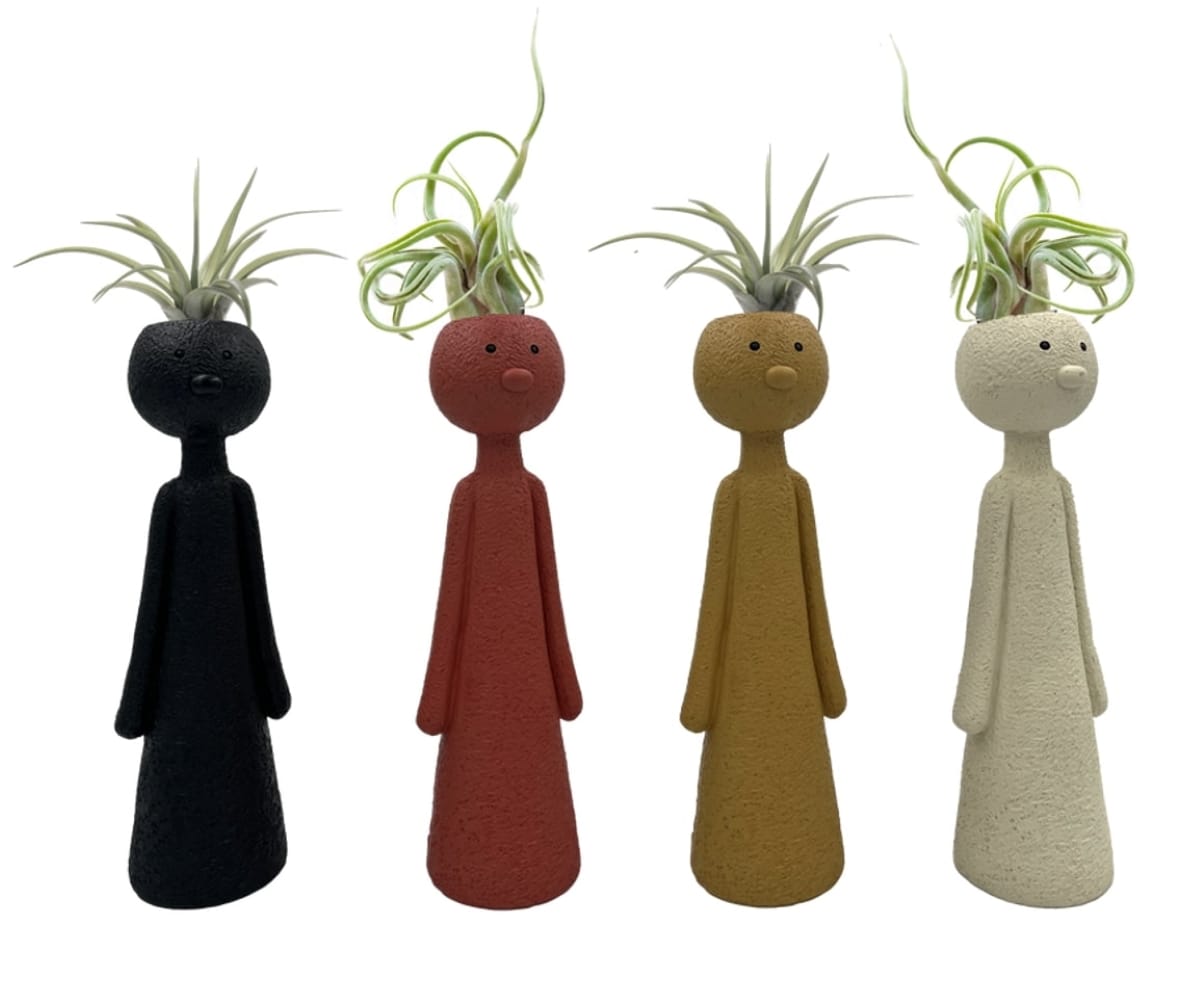 LiveTrends ASB07696 Beach Boys House plant in 1 -Pack Pot 1 -Pack
