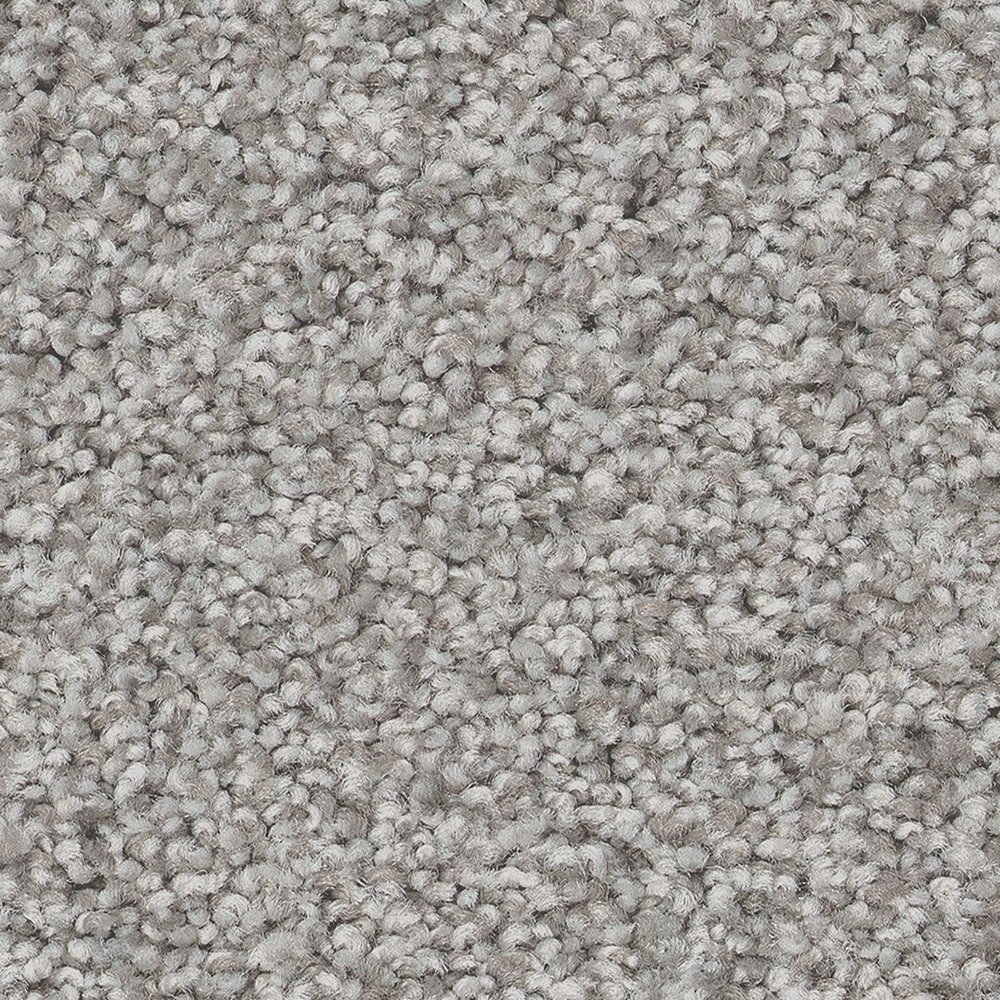 STAINMASTER PetProtect 7L87900512 Ready 2 Play II Trixie Gray 58.5-oz sq yard Nylon Textured Indoor Carpet