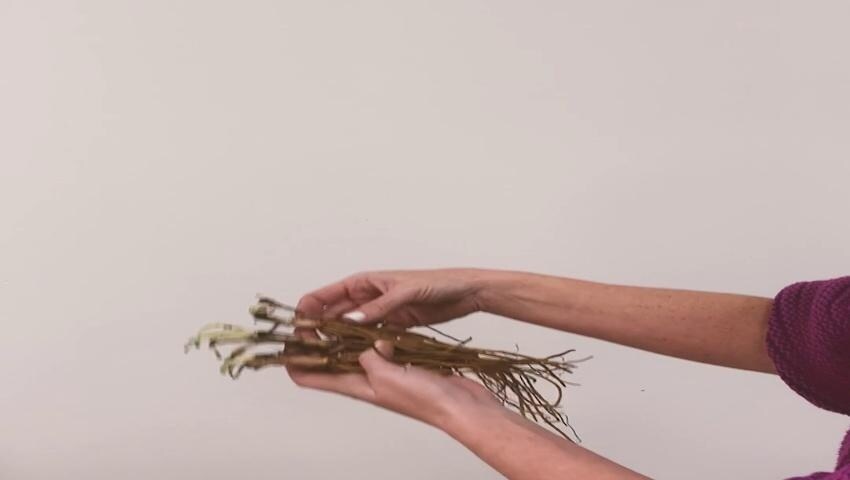 A thumbnail for the video