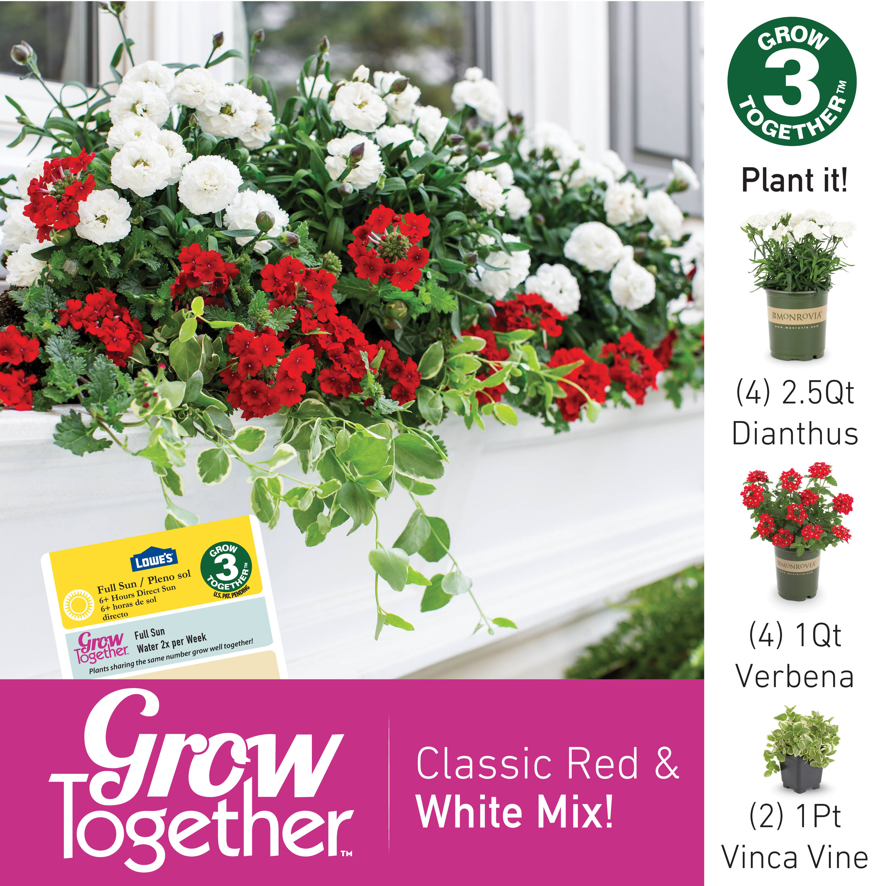 Metrolina Greenhouses 78826 annuals - View #5