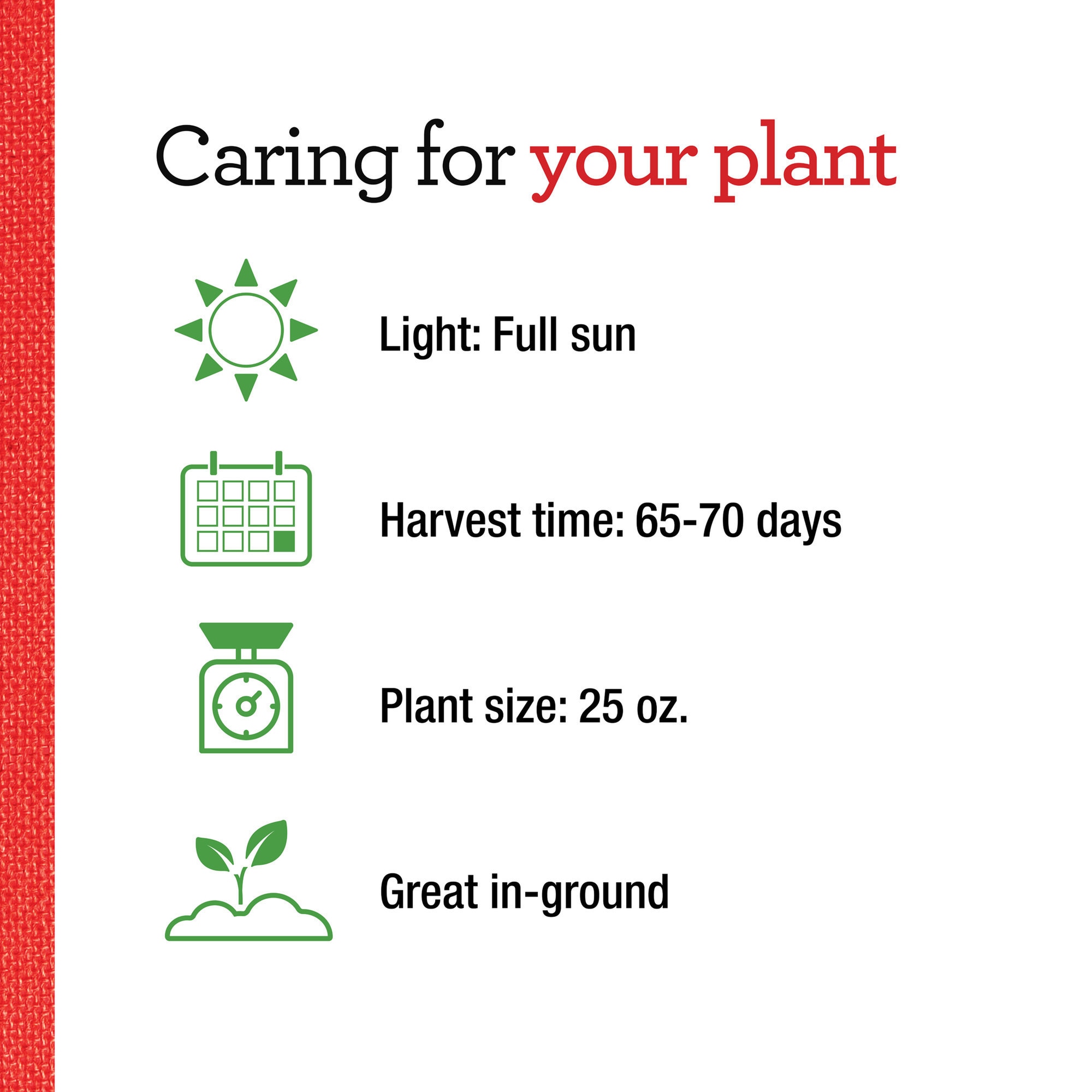Bonnie Plants 202062 Vegetable-Plants - View #5
