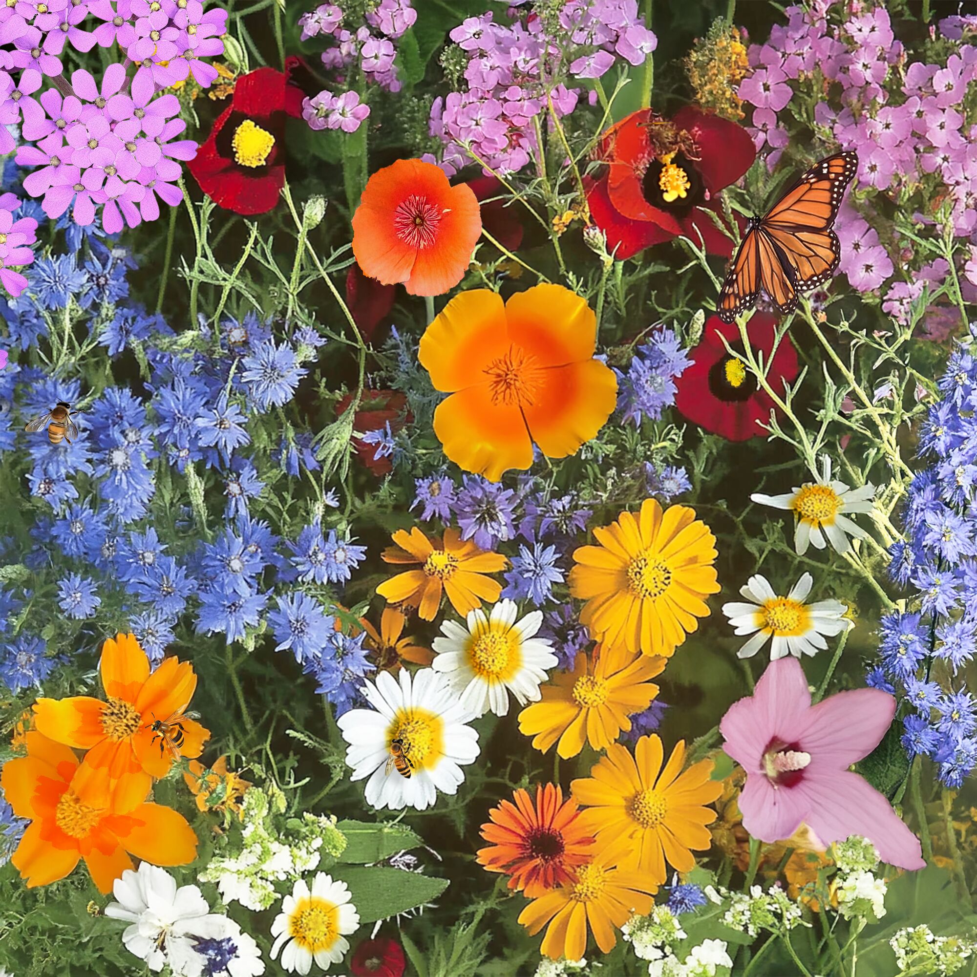 Flower Mix Seeds & Bulbs at Lowes.com
