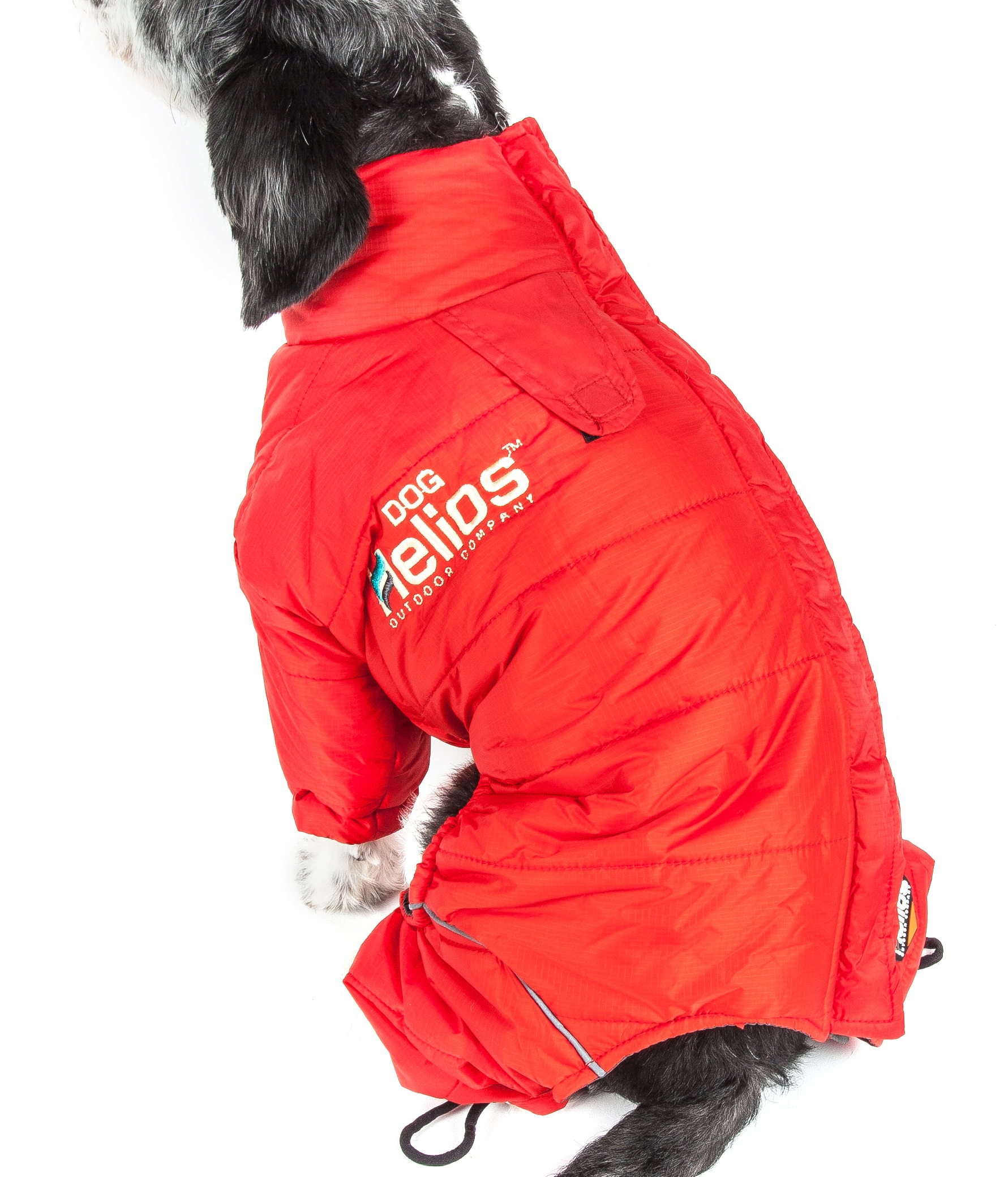 Dog helios weather on sale king