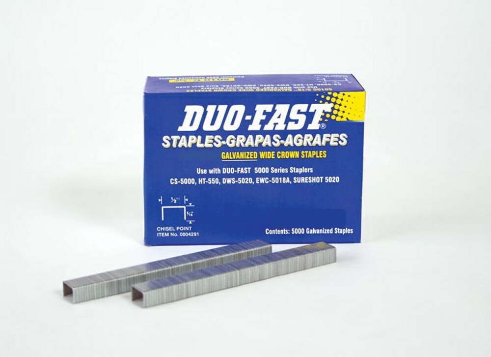 Paslode 1015278 3/8 Leg x Crown Finish (5000-Per Box)