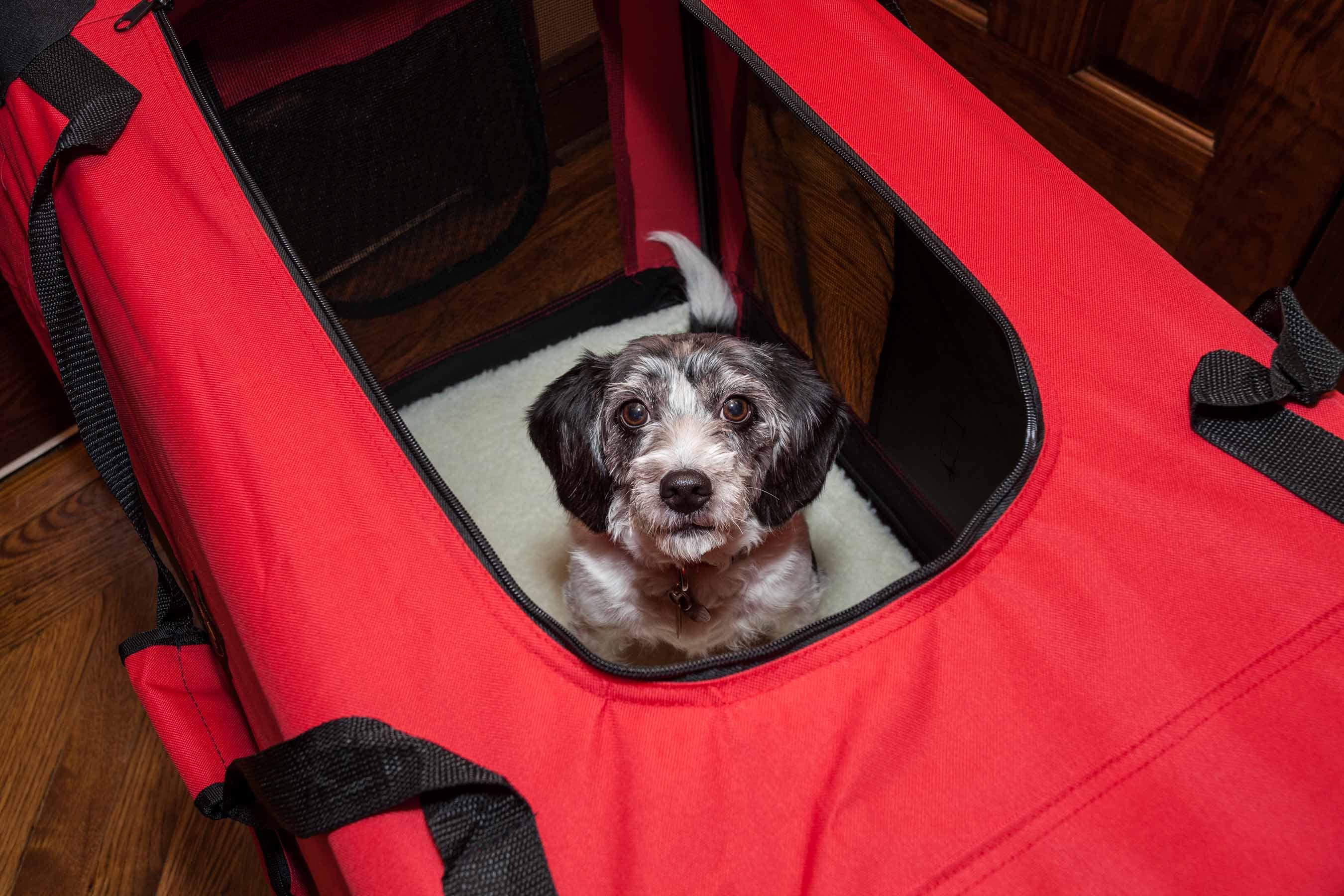 Pet Life H3RDXL Pet-Crates-Carriers - View #5