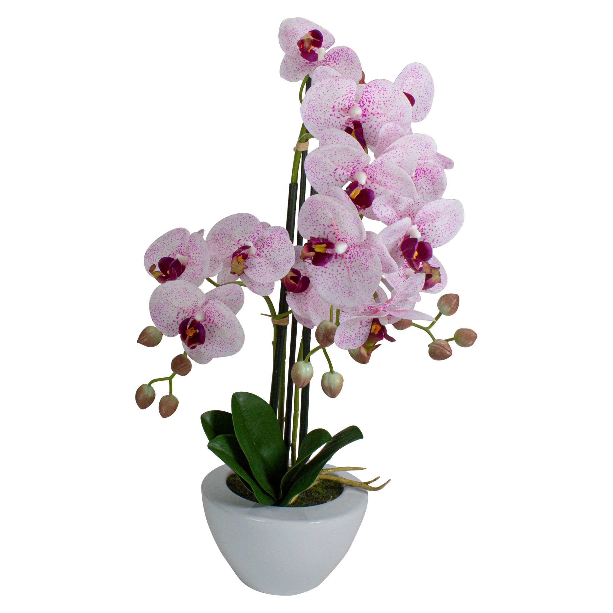 Northlight 34219754 21-in Pink Indoor Desktop Orchid Artificial plant