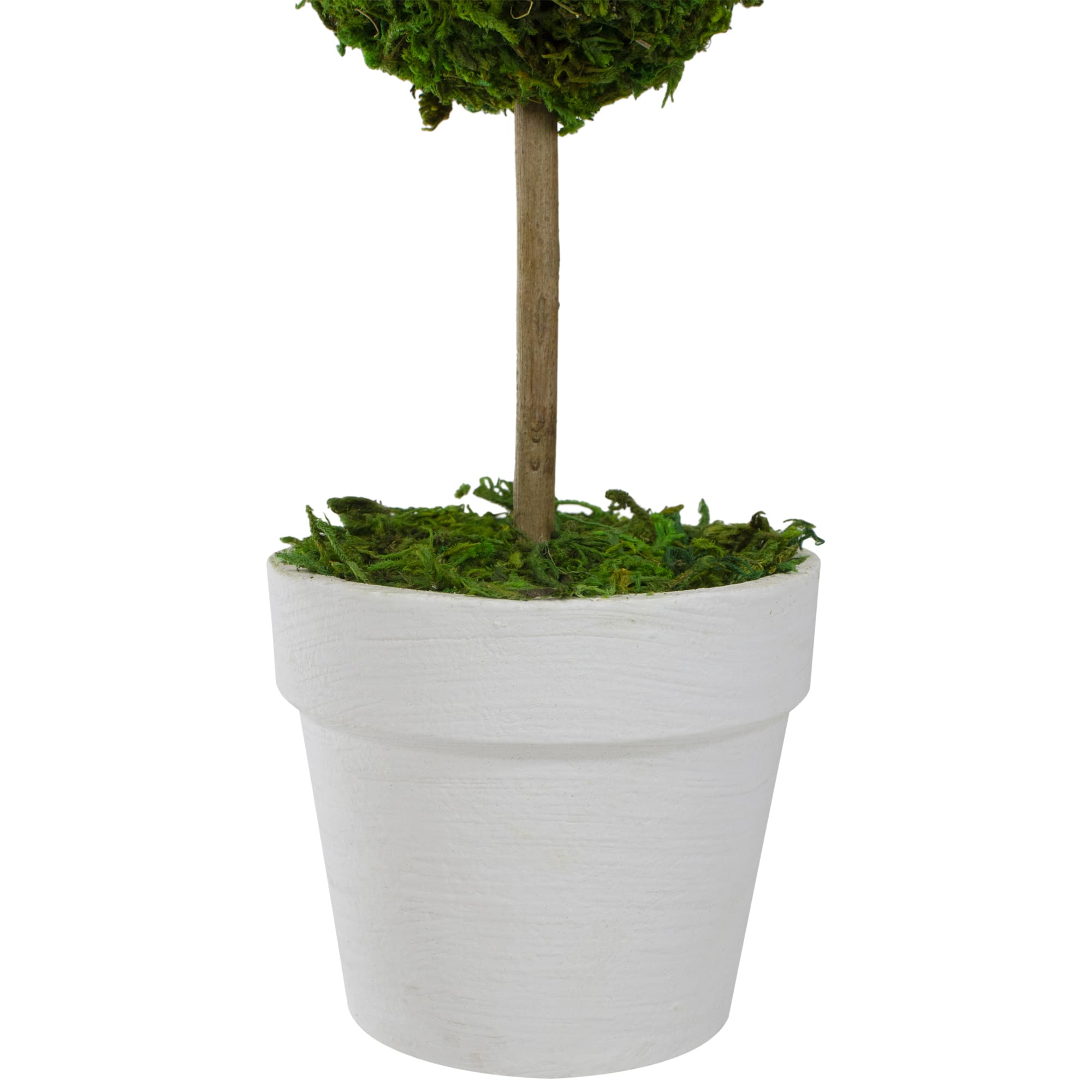 Northlight NORTHLIGHT-SH65220 Artificial-Plants-Trees - View #4