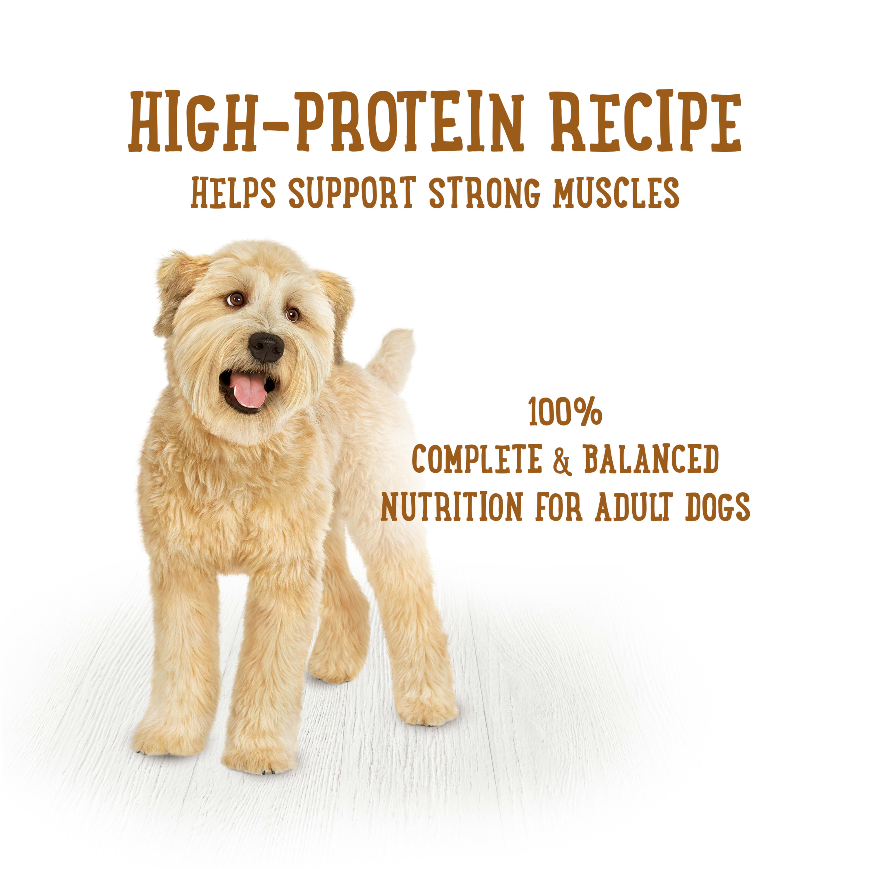 Nestle Purina 001780018805 Wet-Dog-Food - View #9