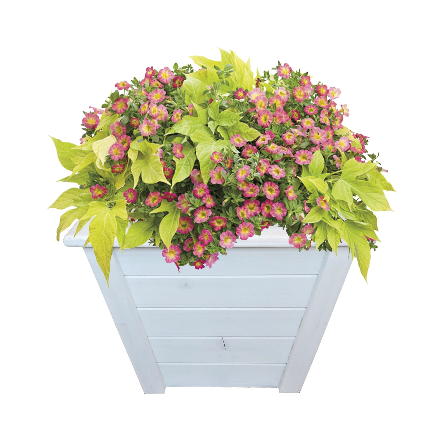 Style Selections TPC1840-2W Planter-Window-Box - View #5