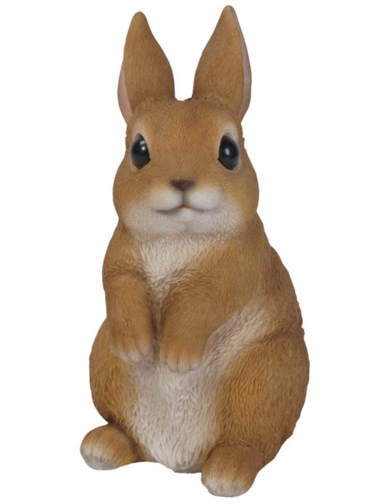 Hi-Line Gift 87739-A 6.25-Inches H x 3-Inches W Brown Garden Statue